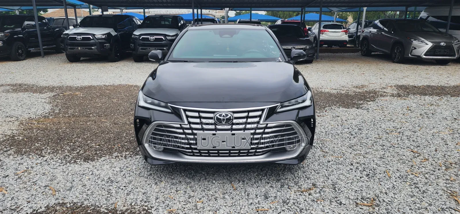 Toyota Avalon 2025 Black