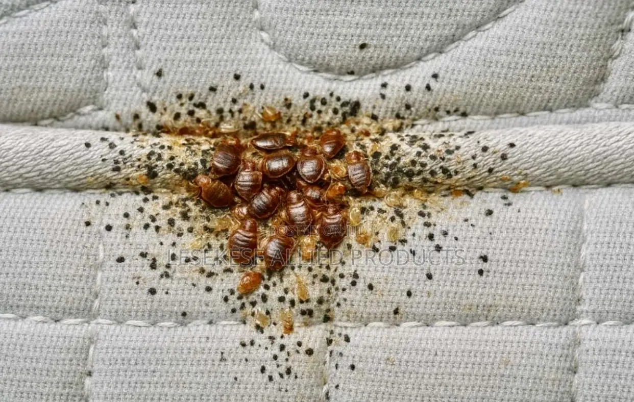 Lesekese Bedbugs and Cockroaches Instant Killer - 500ml