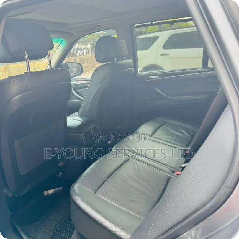 BMW X5 2010 Gray