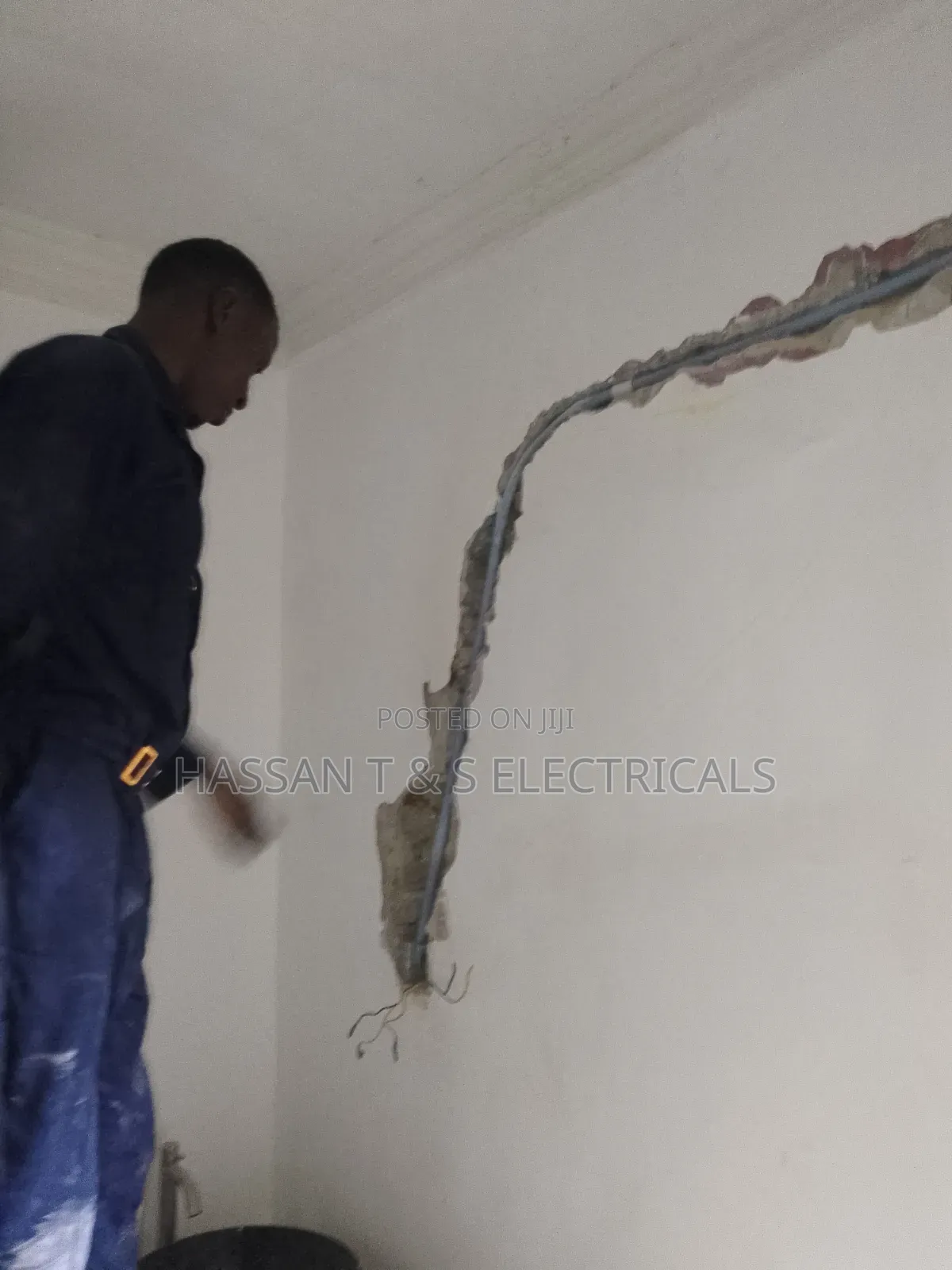 Professional Electrician