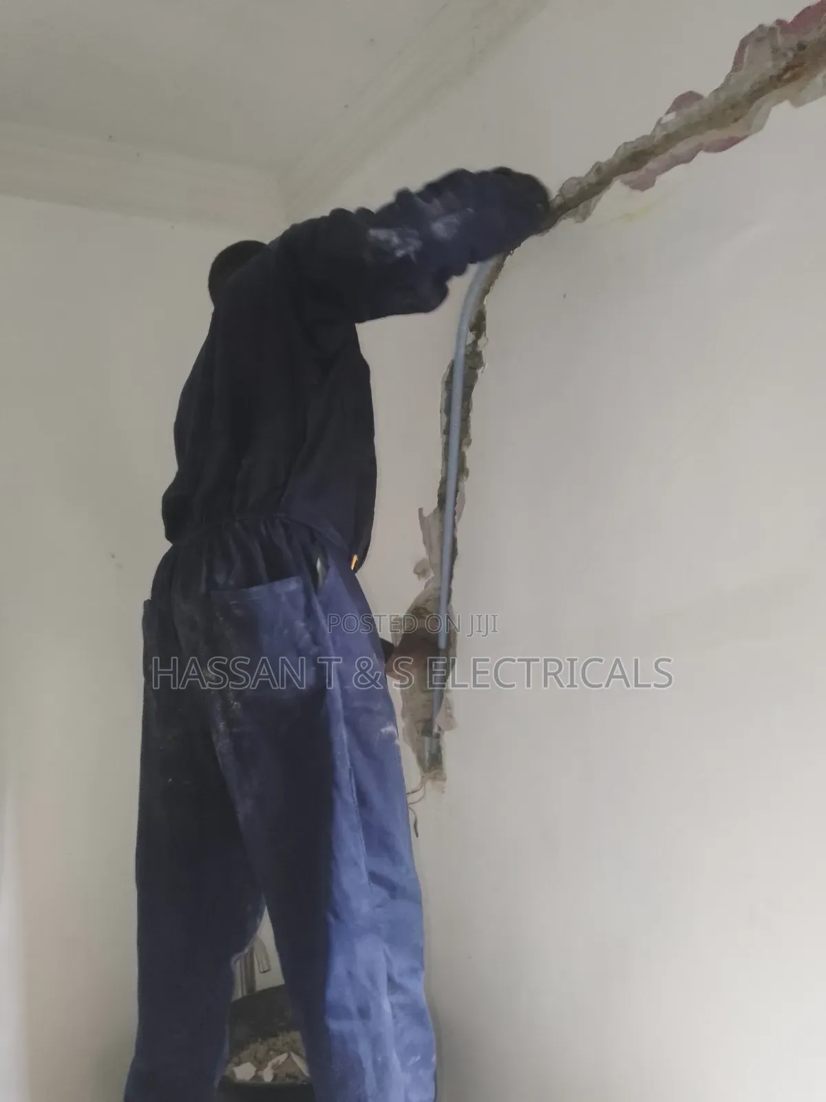 Professional Electrician
