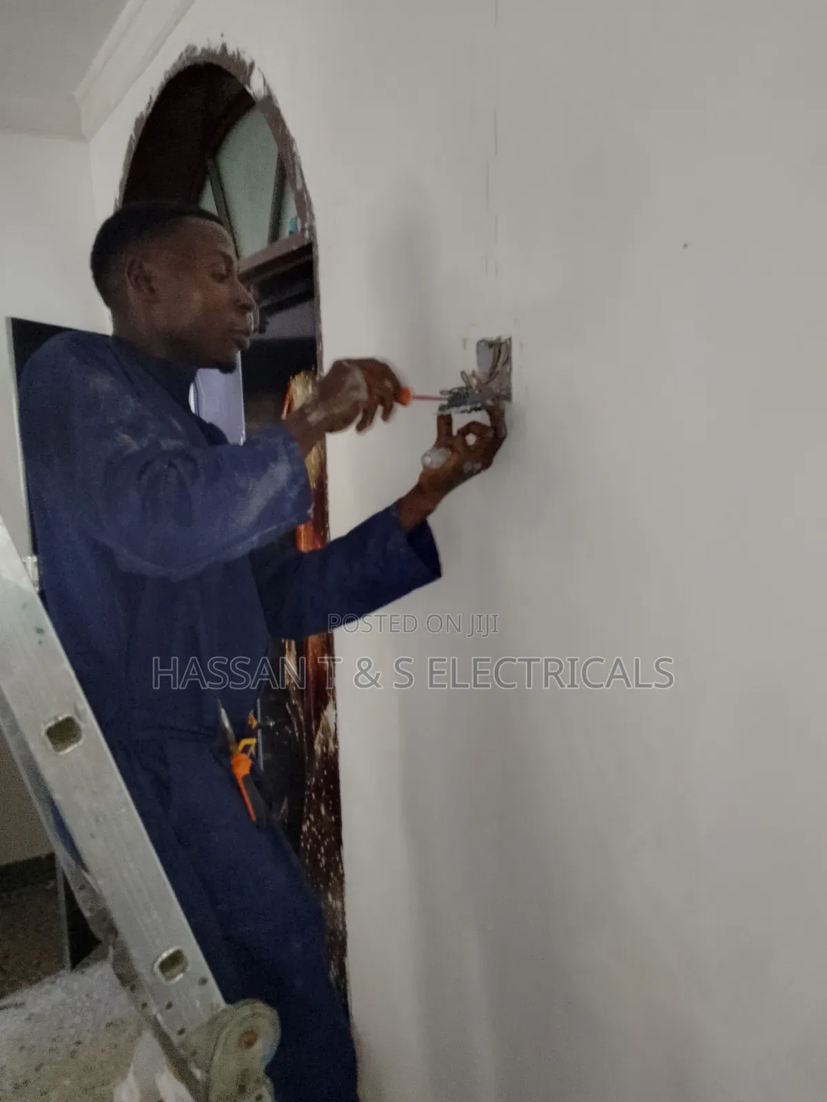 Professional Electrician