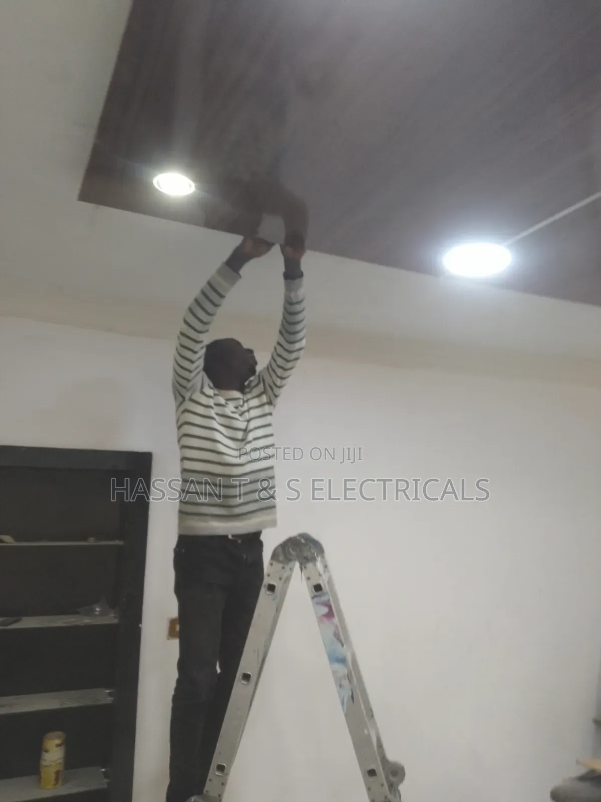 Professional Electrician