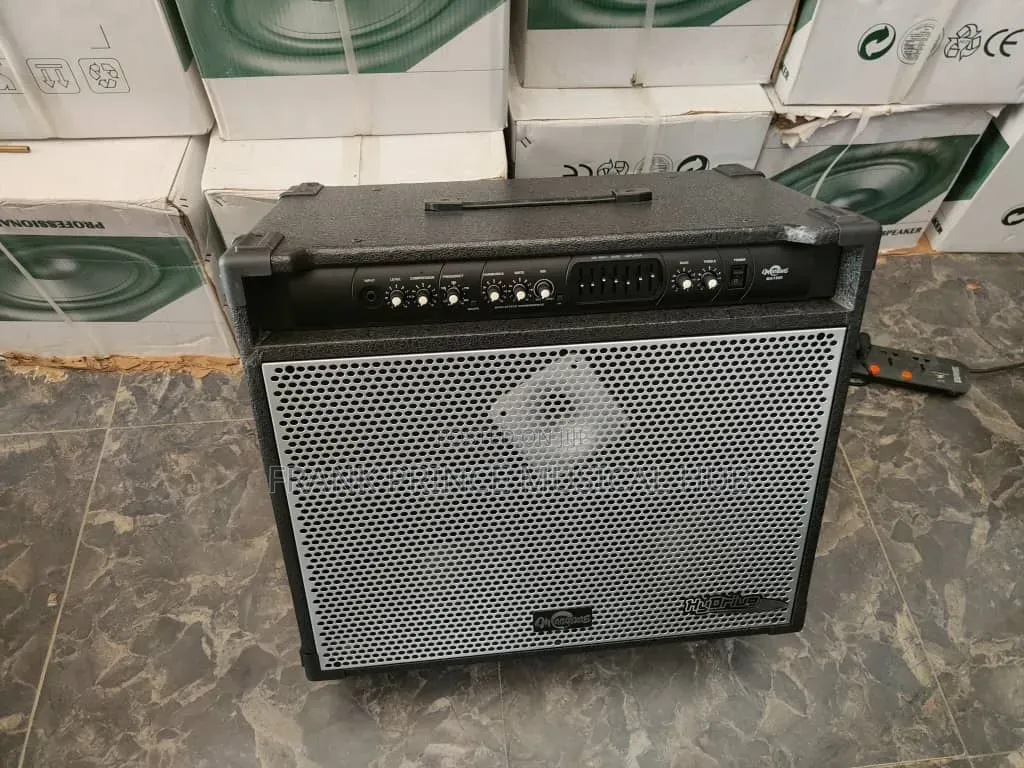Heavy-Duty Professional Bass Combo Amplifier