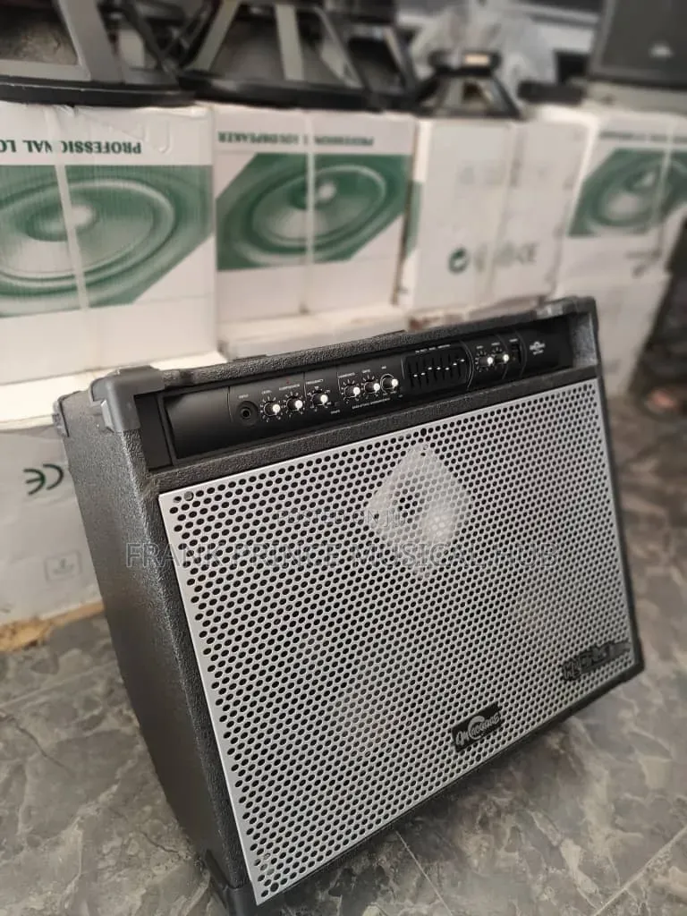 Heavy-Duty Professional Bass Combo Amplifier