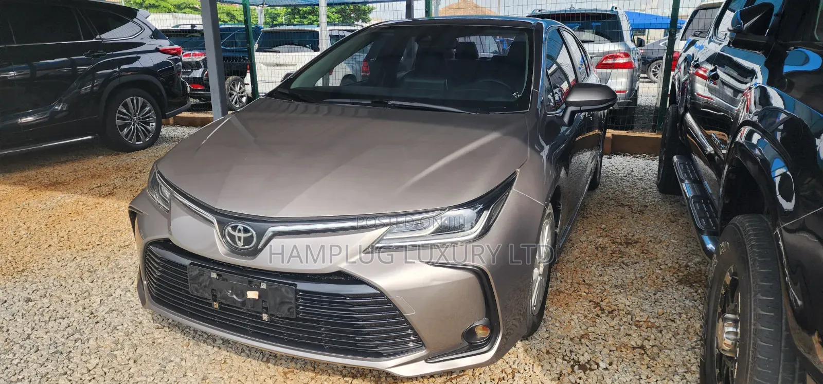 Toyota Corolla 2023 Brown
