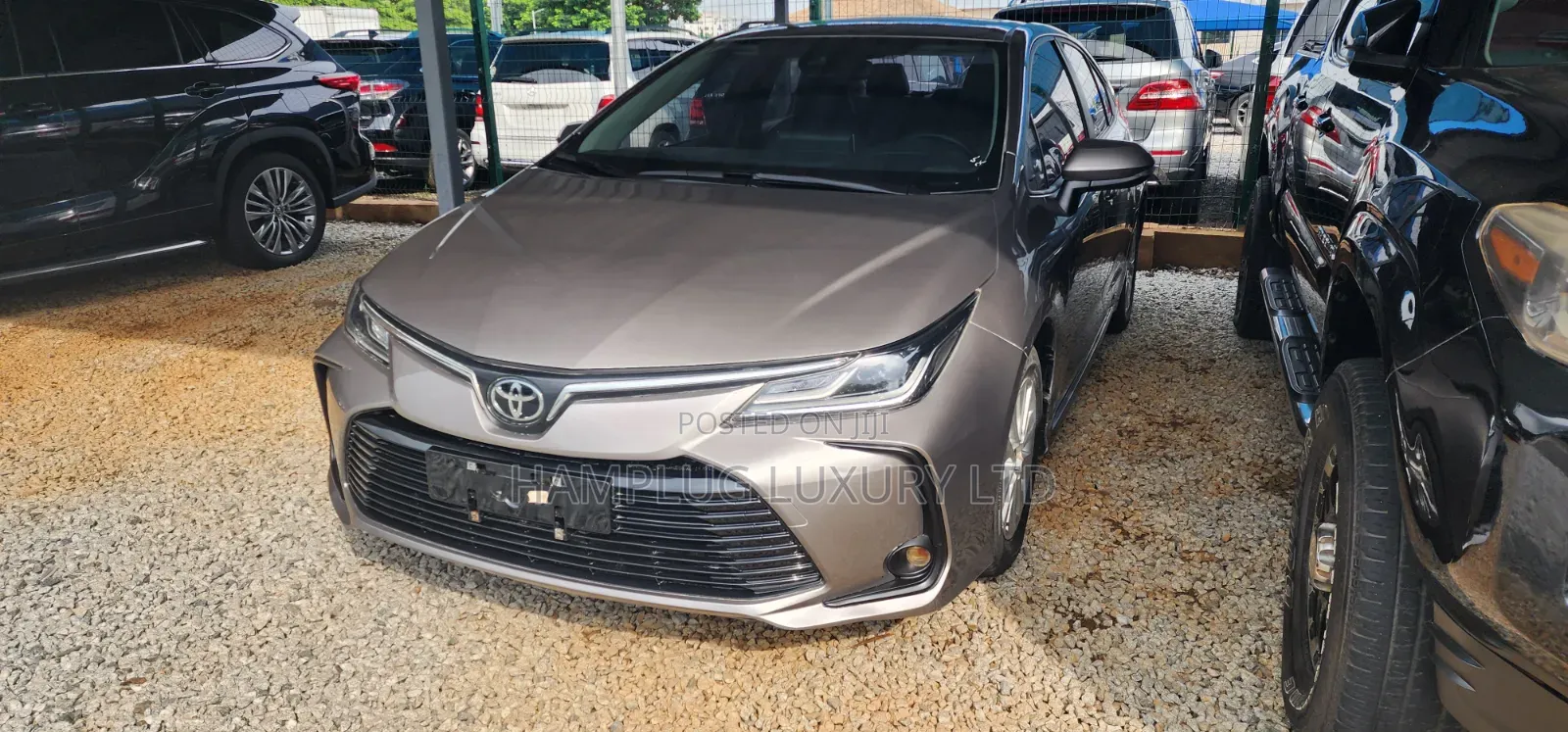 Toyota Corolla 2023 Brown