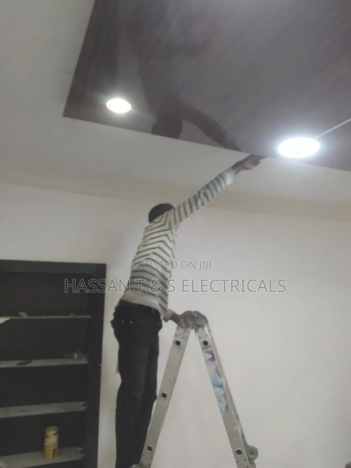 Professional Electrician