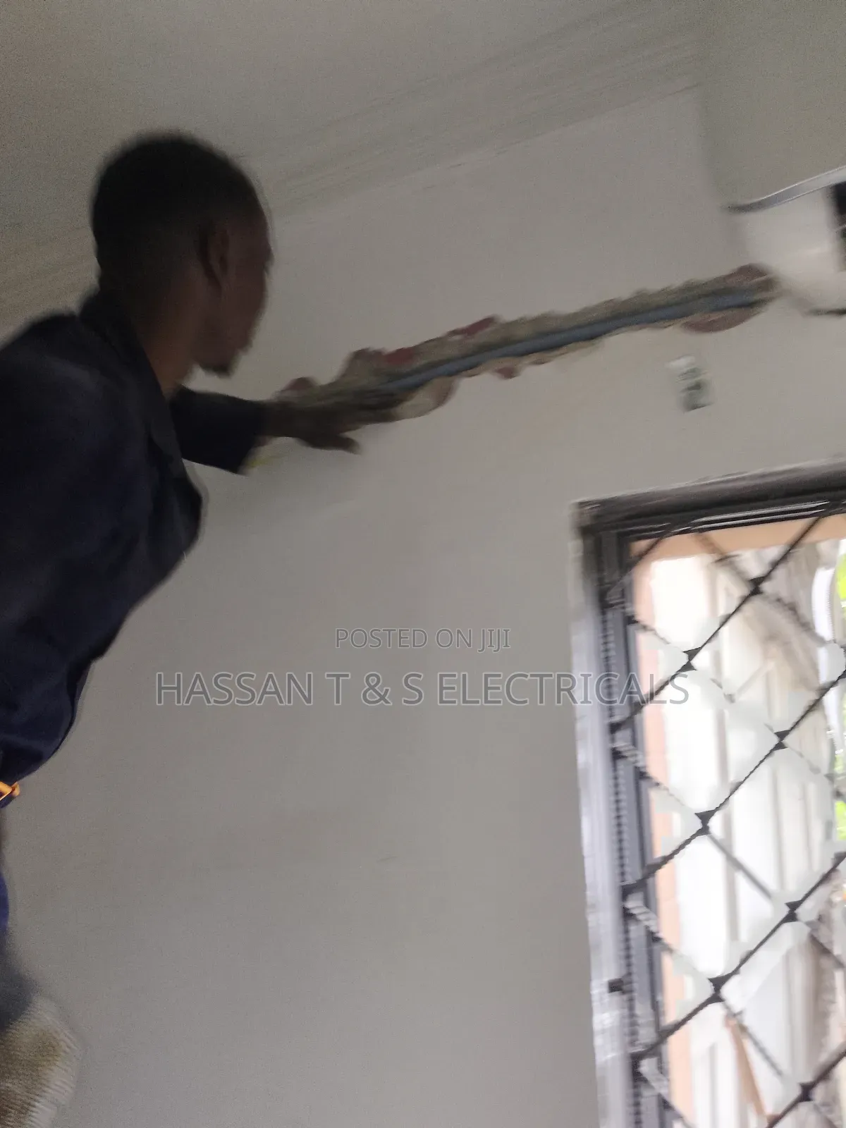 Professional Electrician