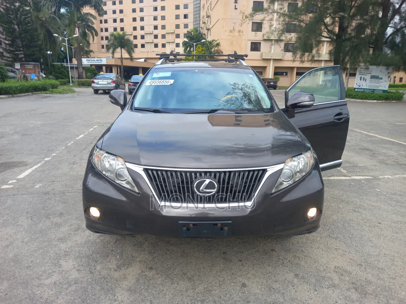 Lexus RX 2010 Purple