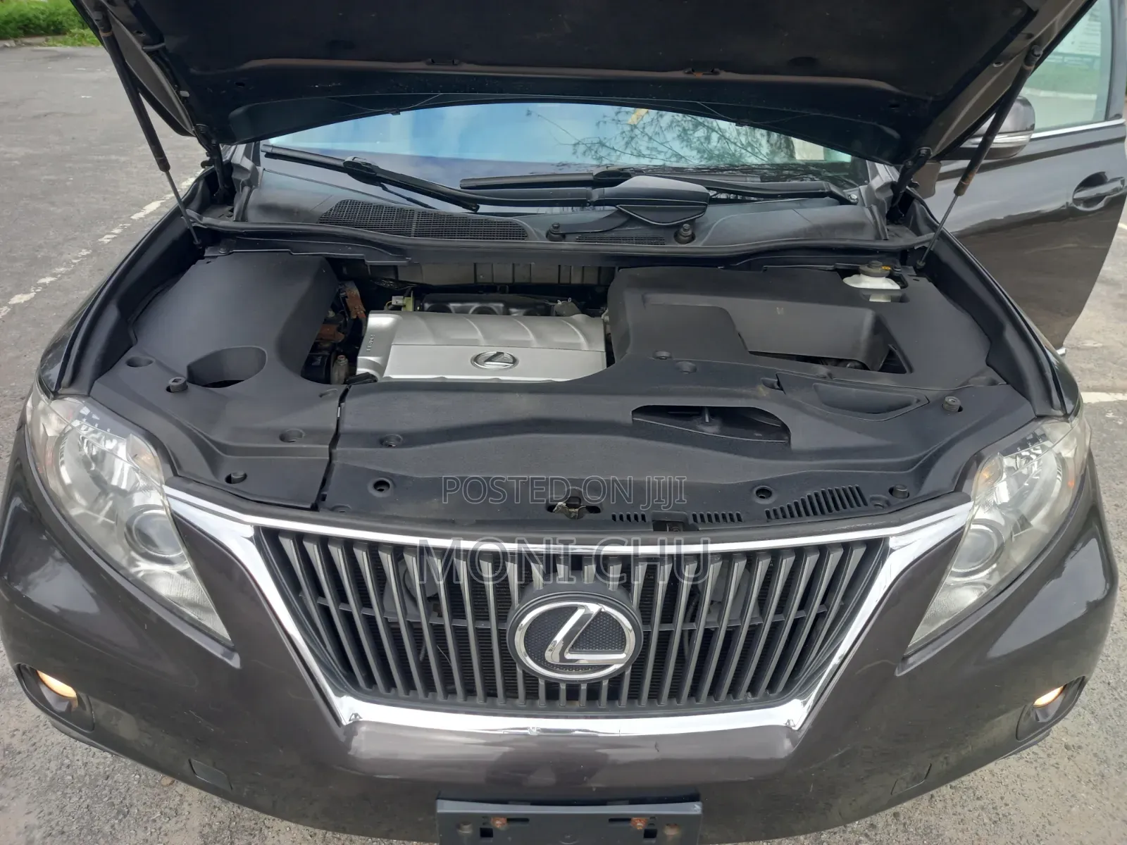 Lexus RX 2010 Purple