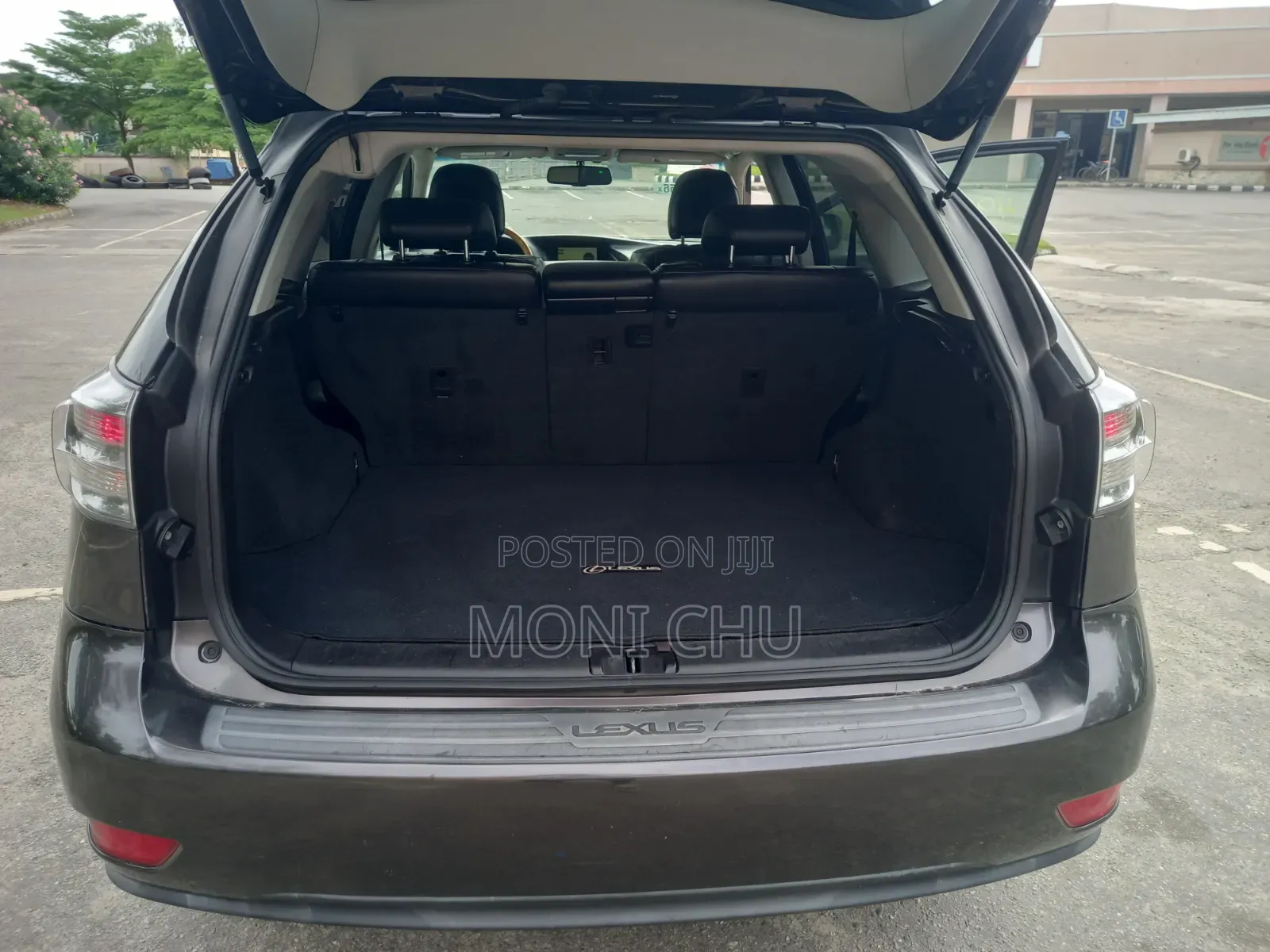 Lexus RX 2010 Purple