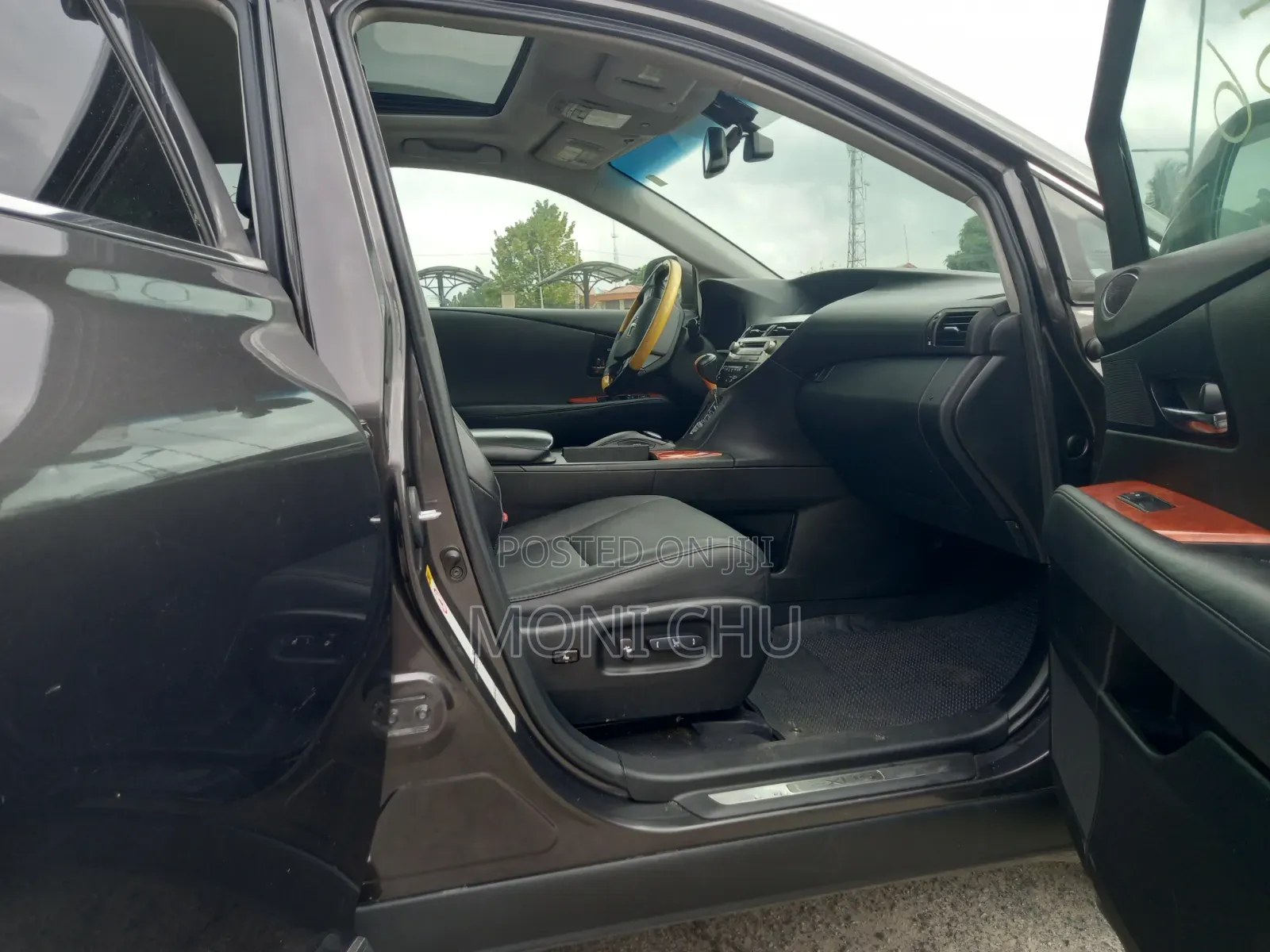 Lexus RX 2010 Purple