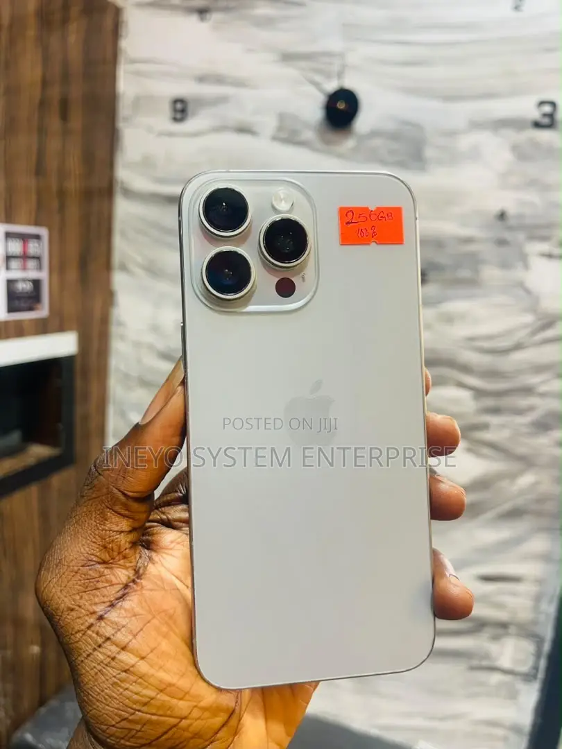 Apple iPhone 15 Pro Max 256 GB Silver