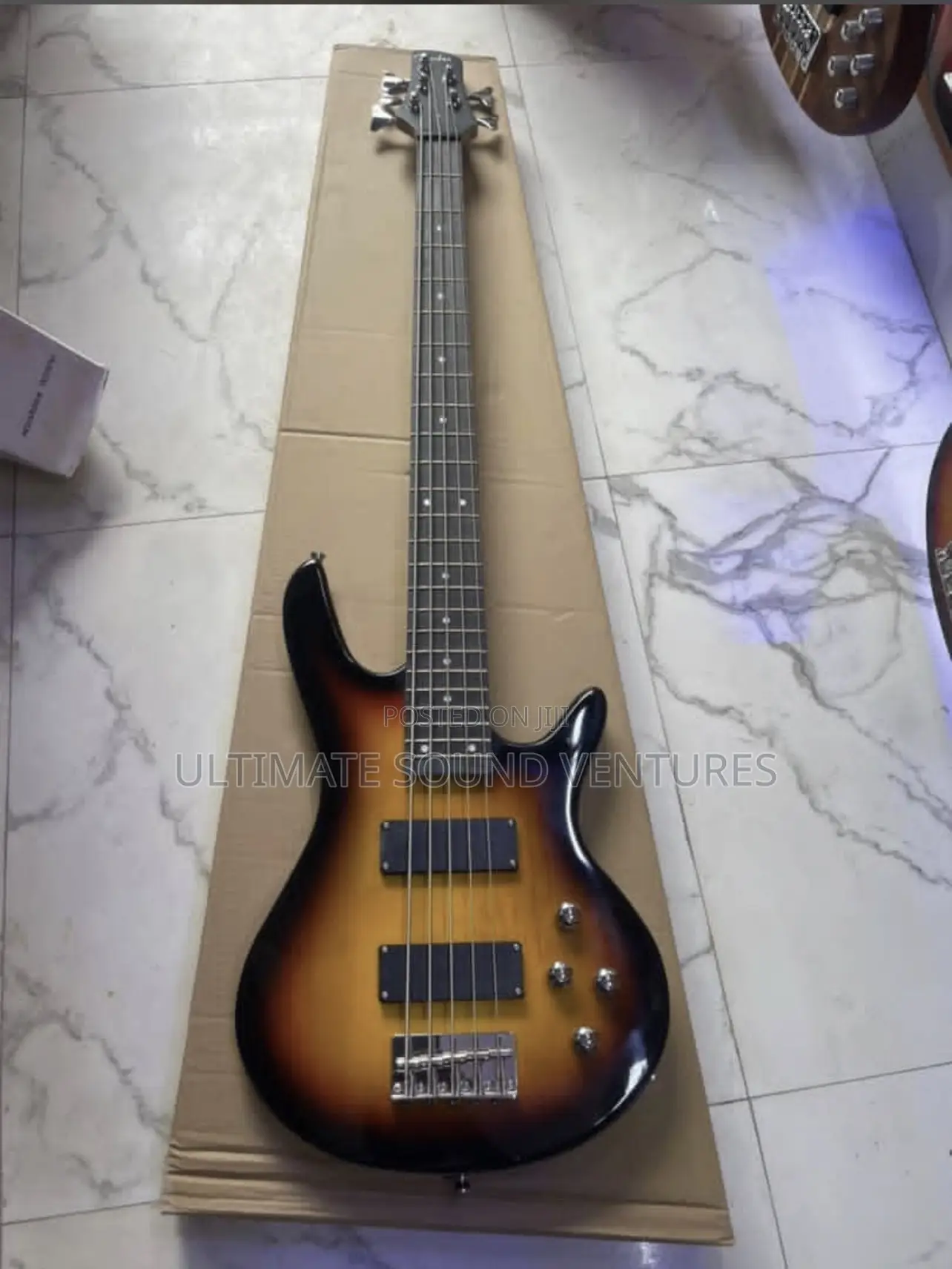 Bass Guitar
