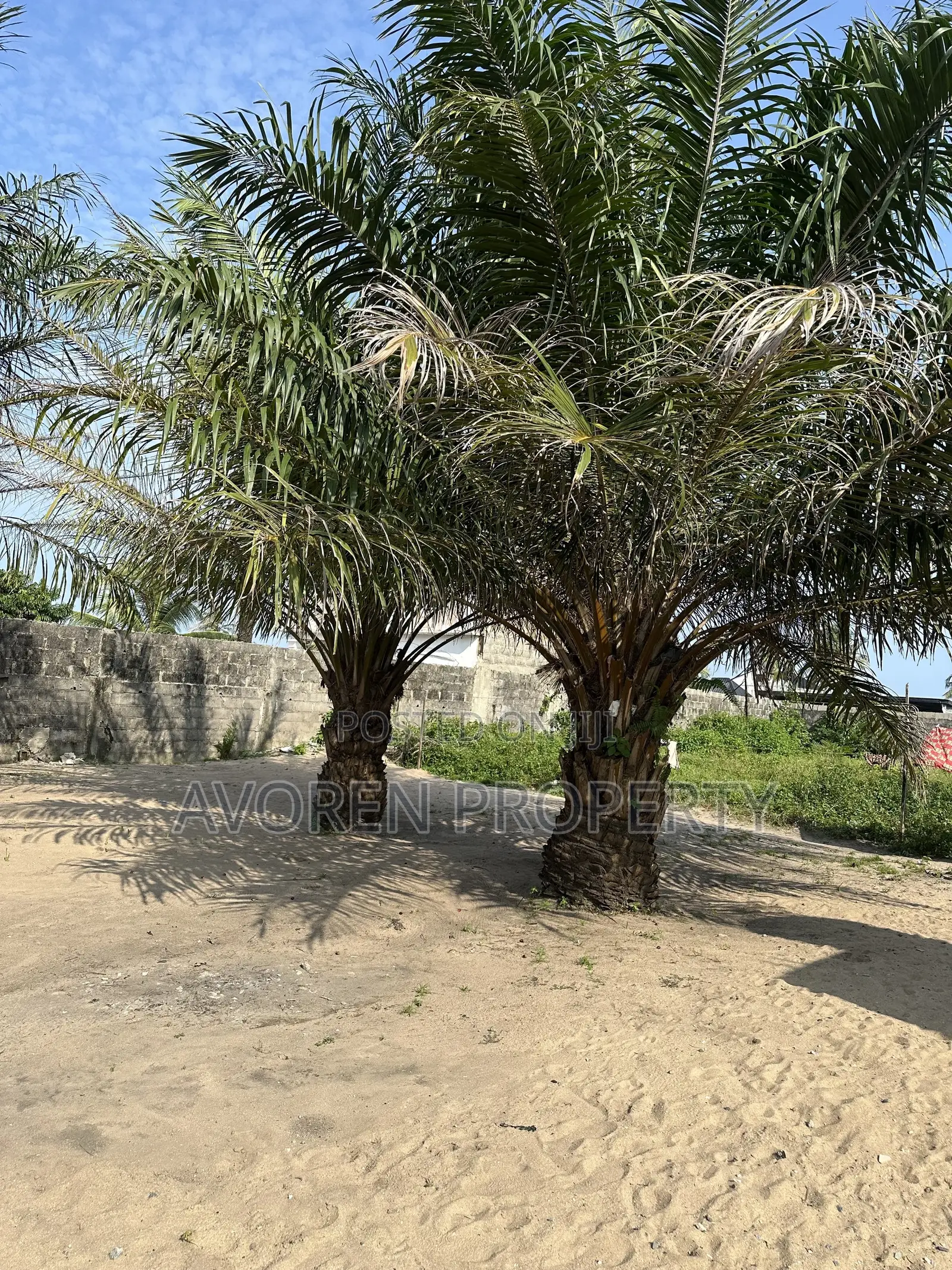 One Plot of Land at Eleko Beach Side Idado Town