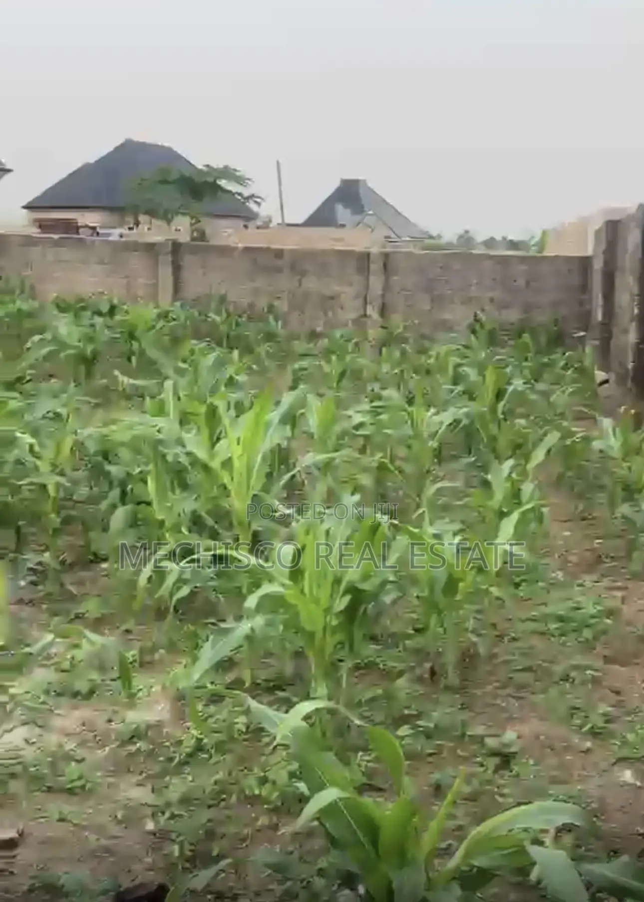 1 Plot of Fully Fenced and Gated Land for Sale in Atali Eneka