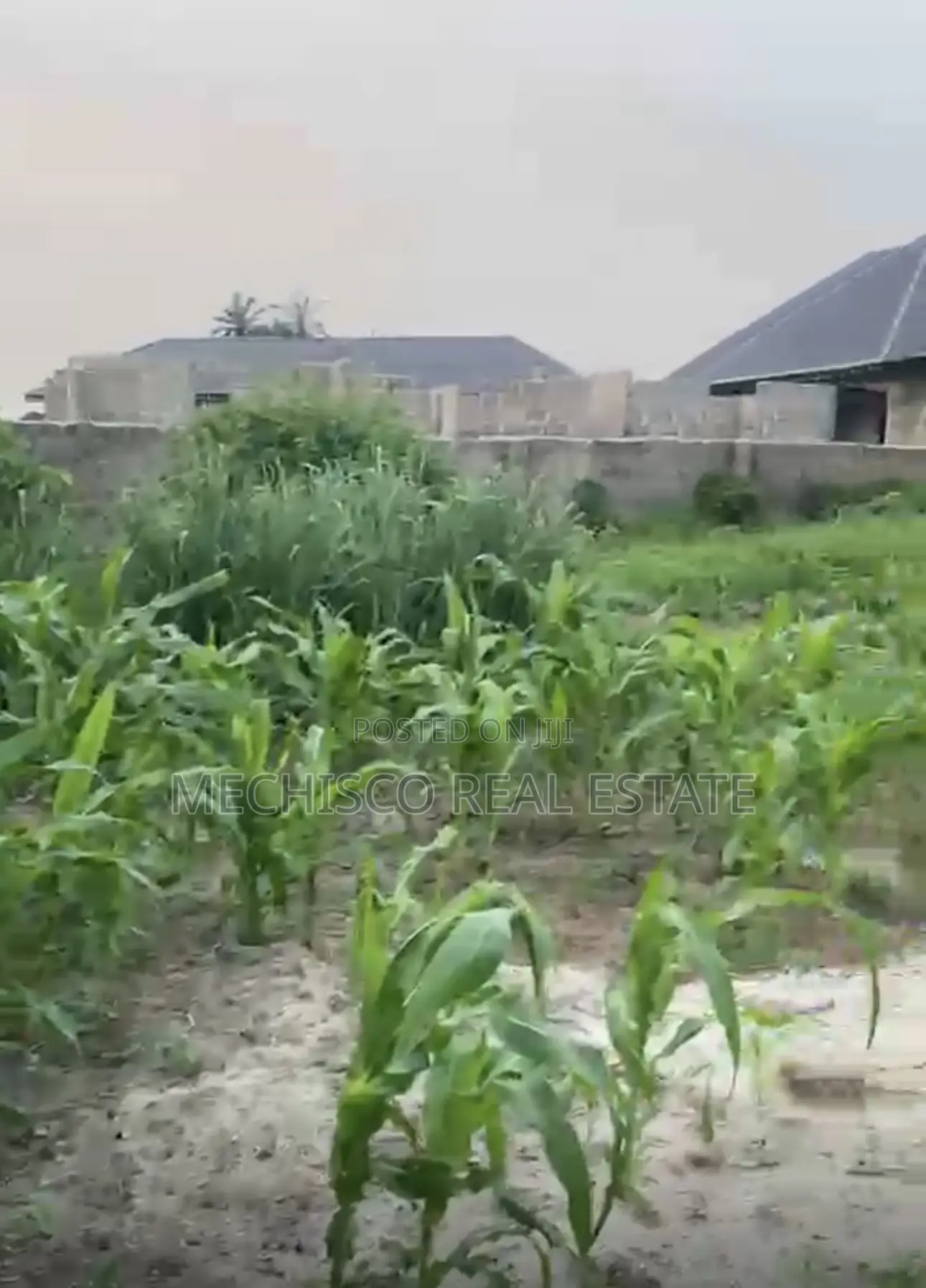 1 Plot of Fully Fenced and Gated Land for Sale in Atali Eneka