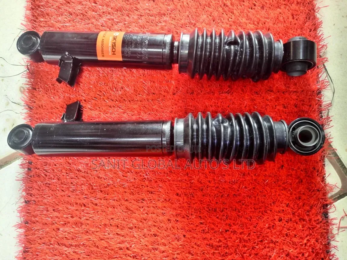 Hyundai Cerato and Santa Fe 2012 Back Shock Absorber