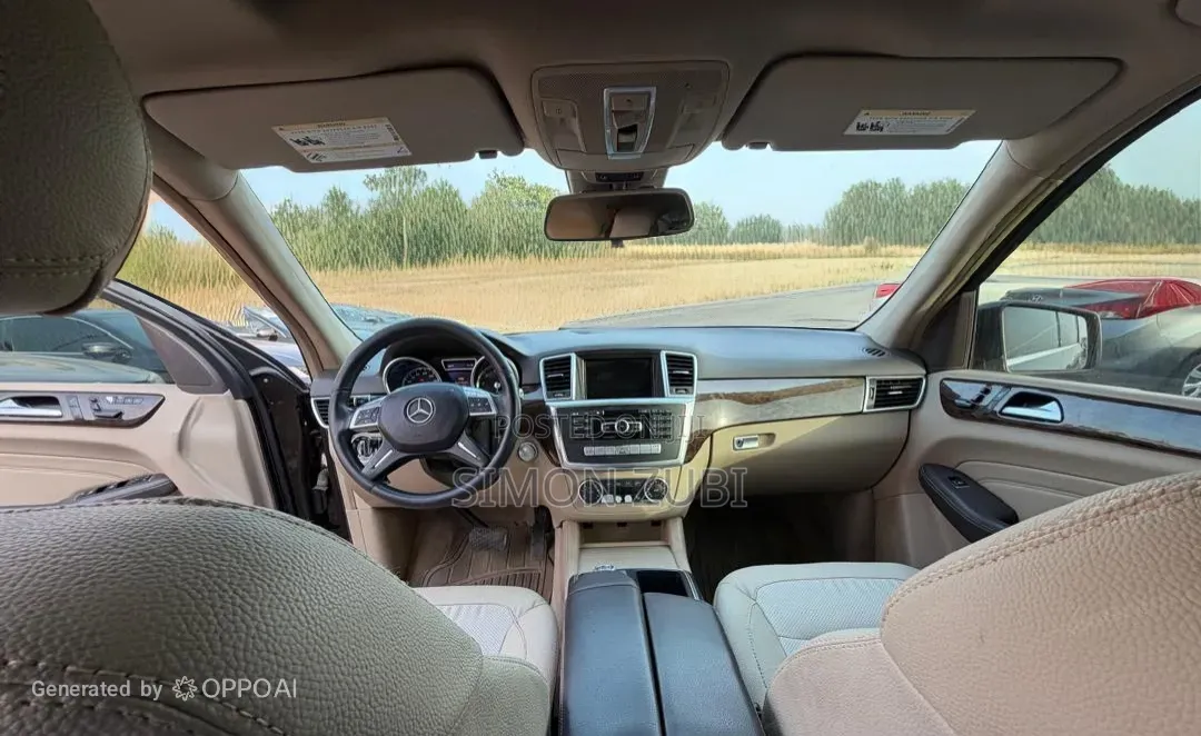 Mercedes-Benz M Class 2013 Brown
