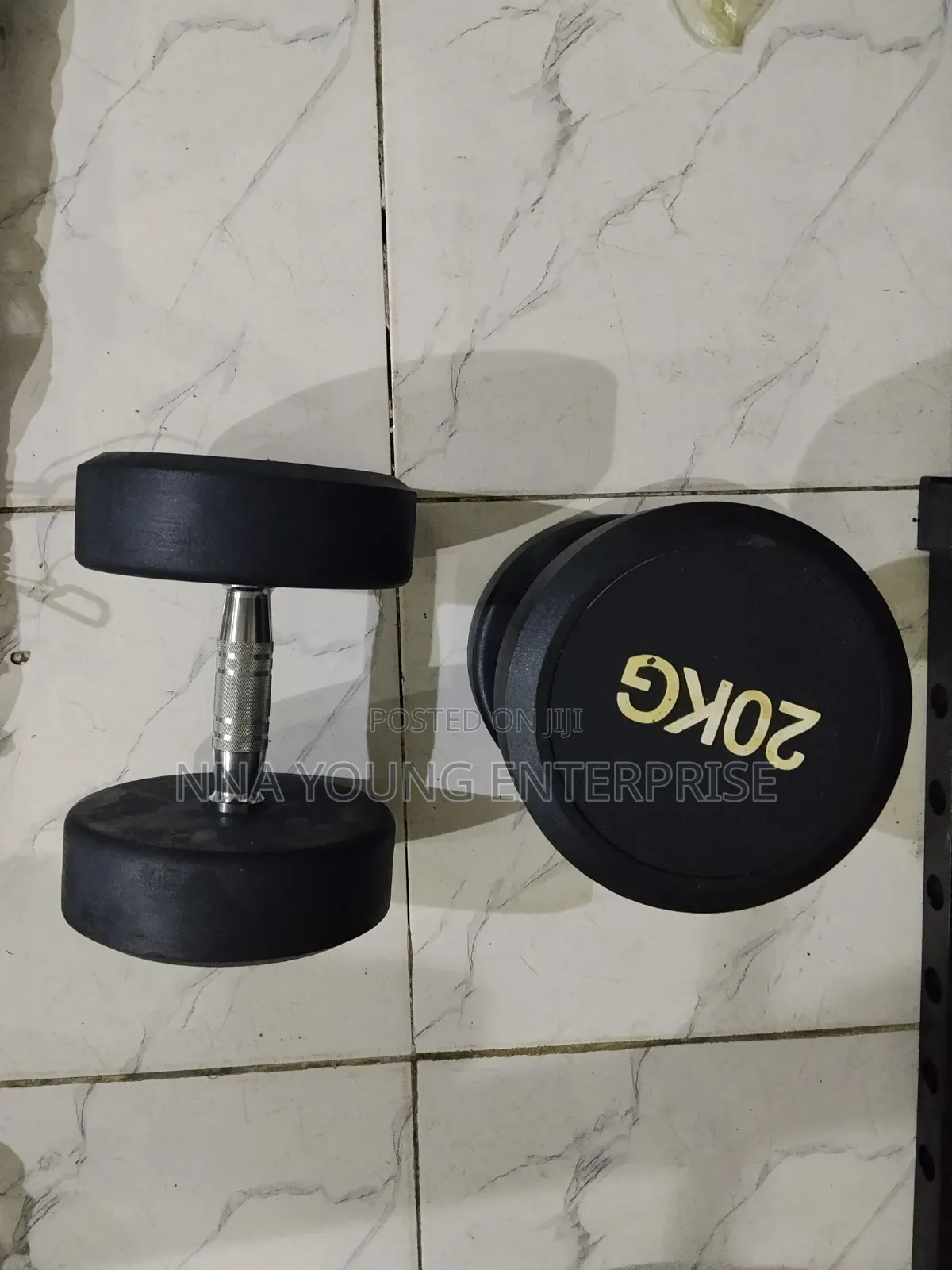 20kg Fixed-Weight Dumbbell