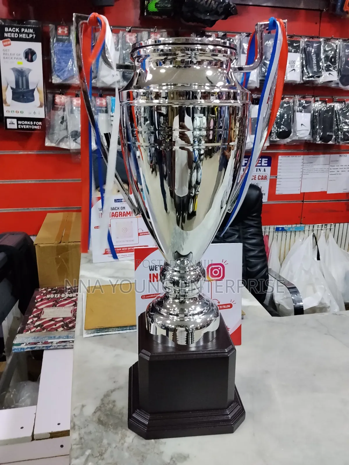 Trophy Large Silver-Plated Sports