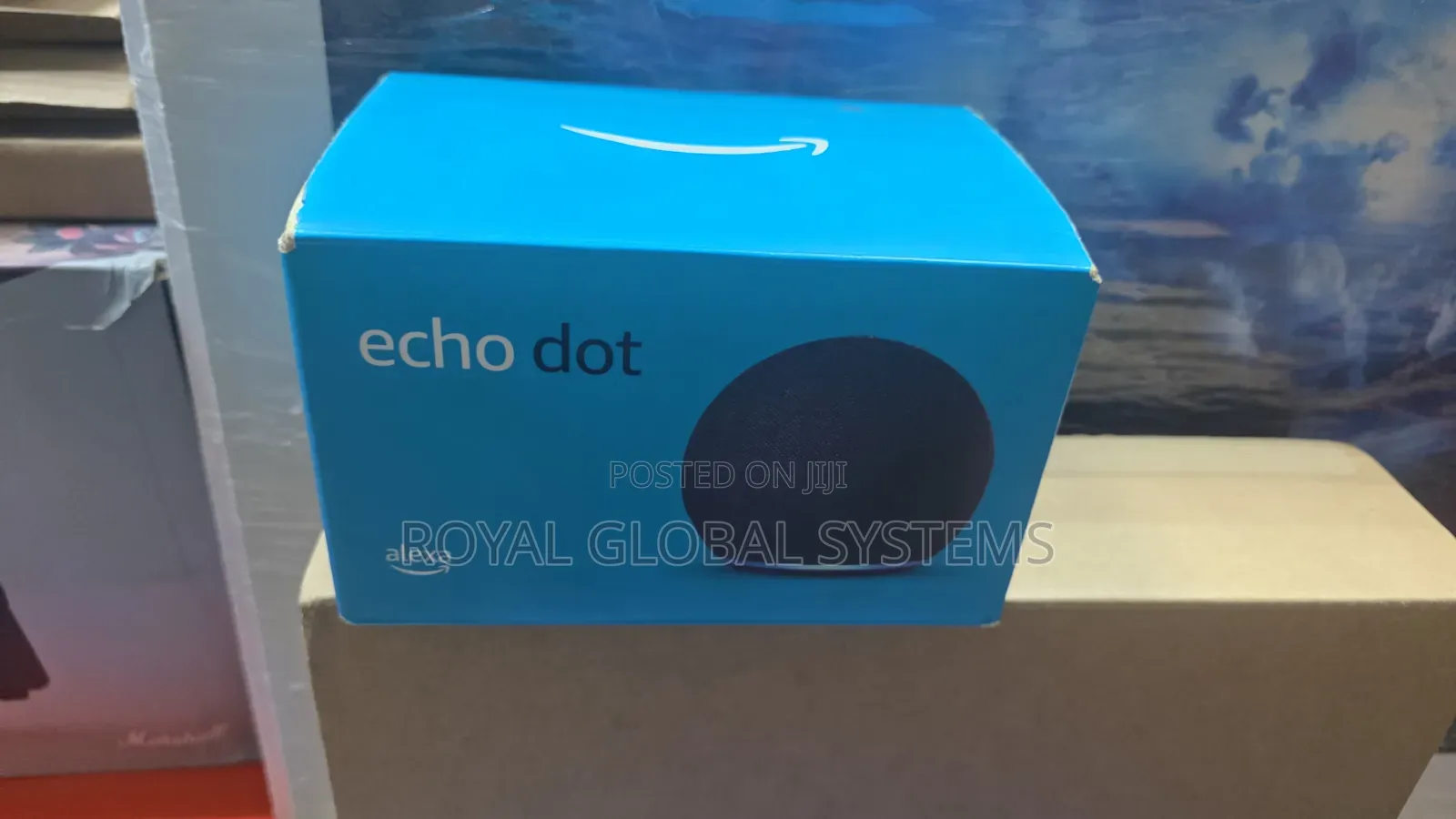 Alexa Echo