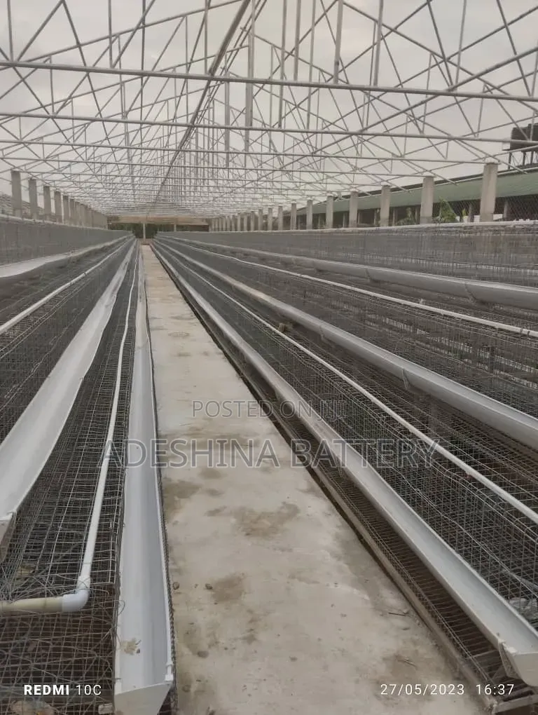 1st Grade Foreign Used Cages