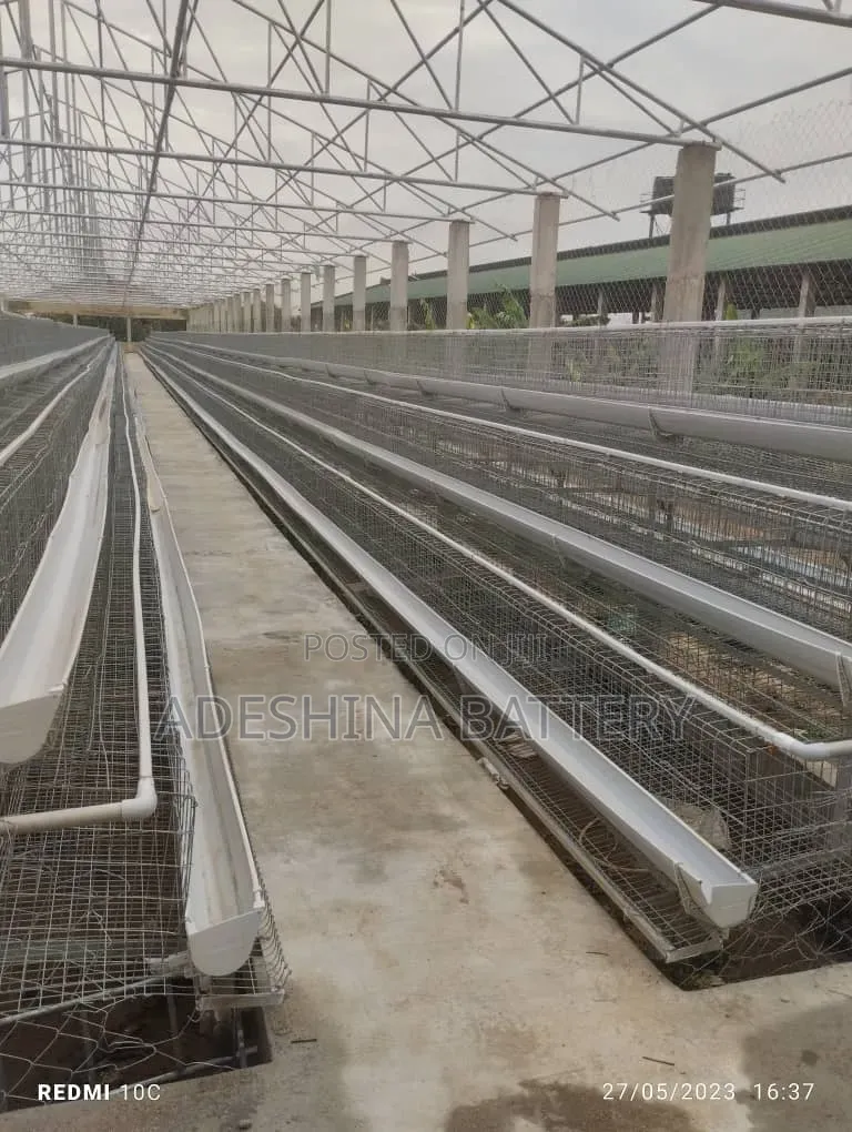 1st Grade Foreign Used Cages