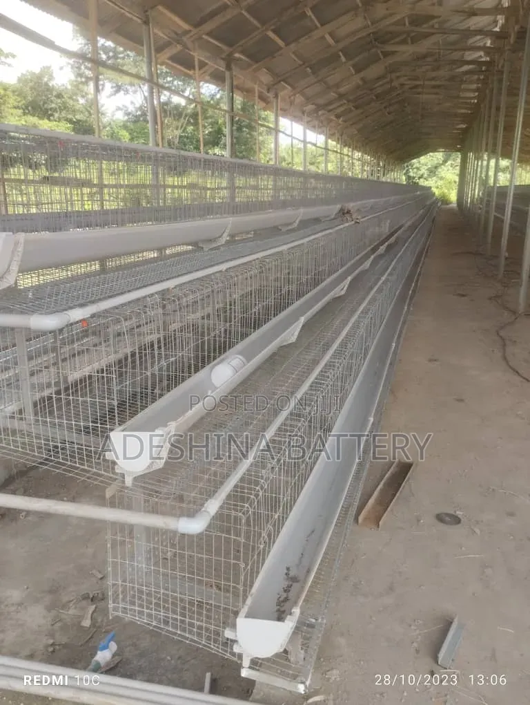 1st Grade Foreign Used Cages