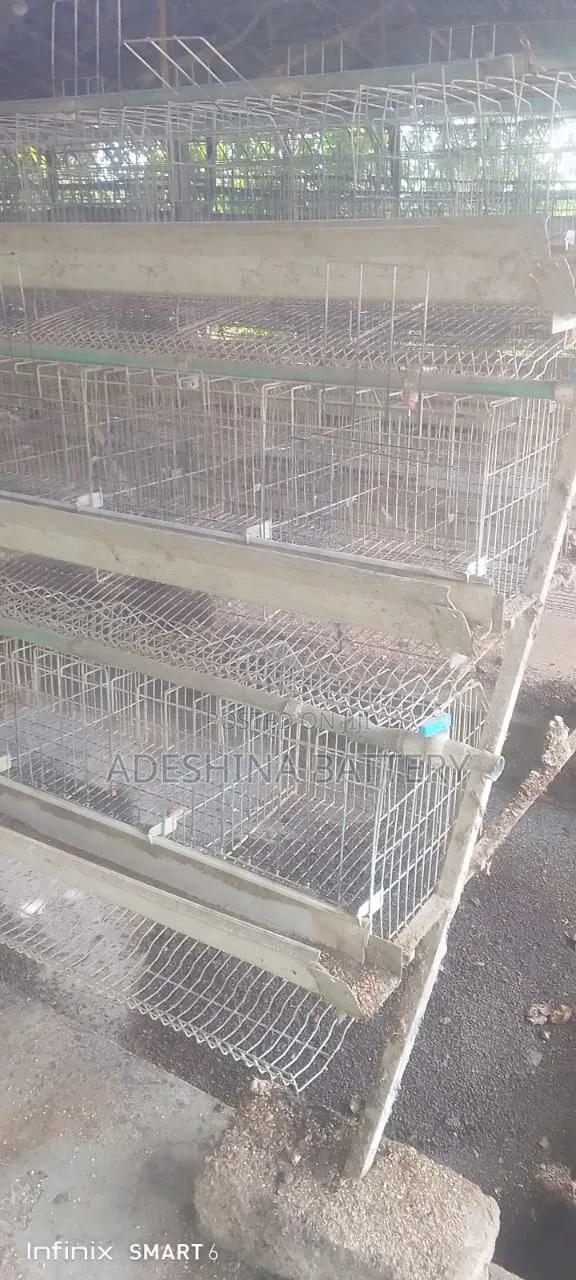 1st Grade Imported Fairly Used Cage