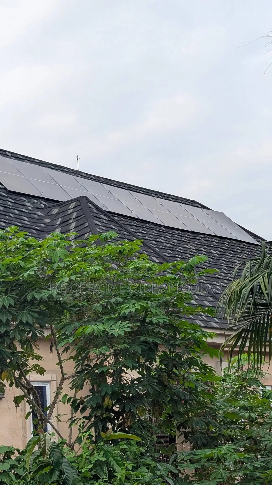 All Black 650Watts Panels