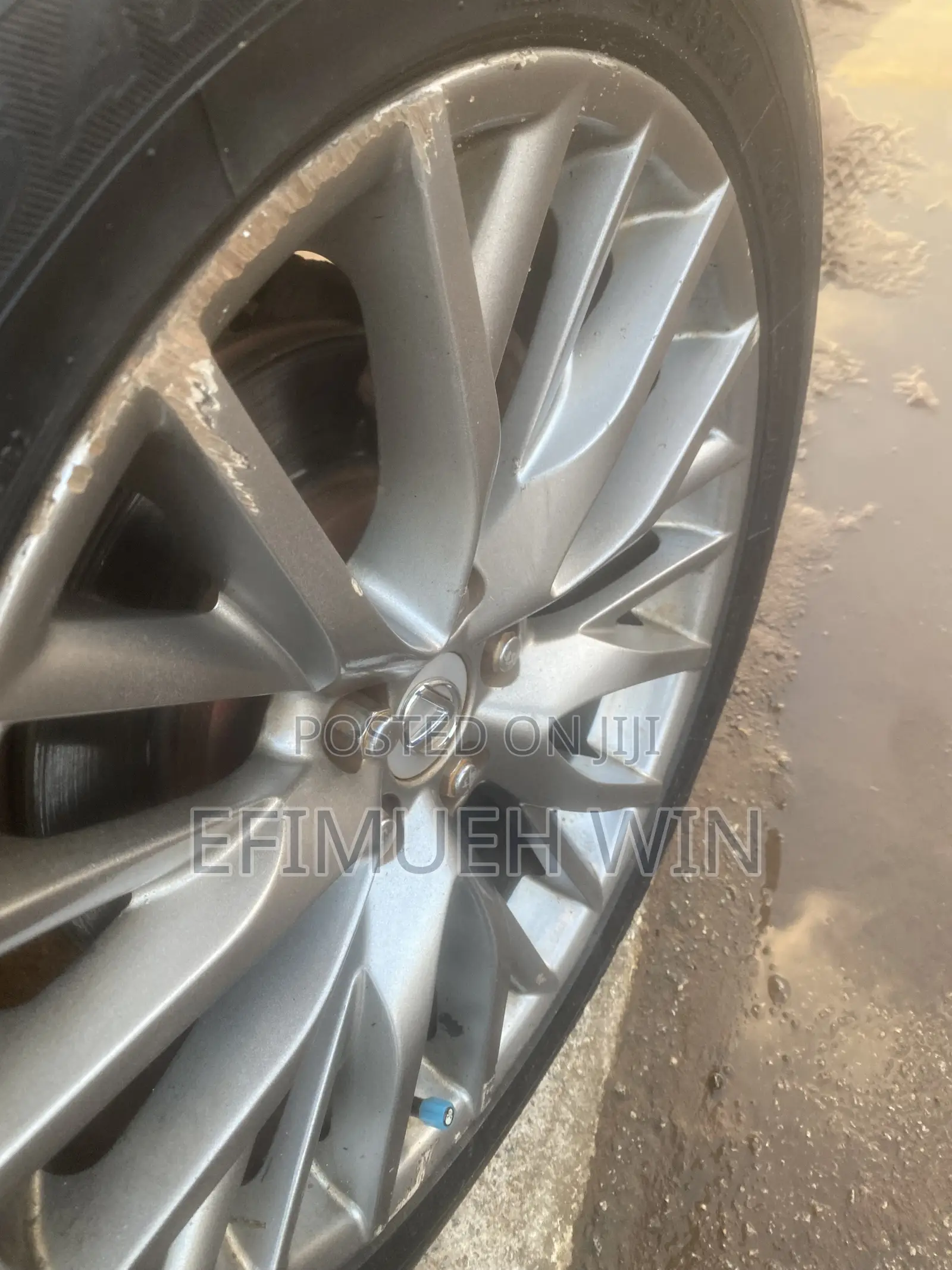 Lexus RX 330 2005 Gray