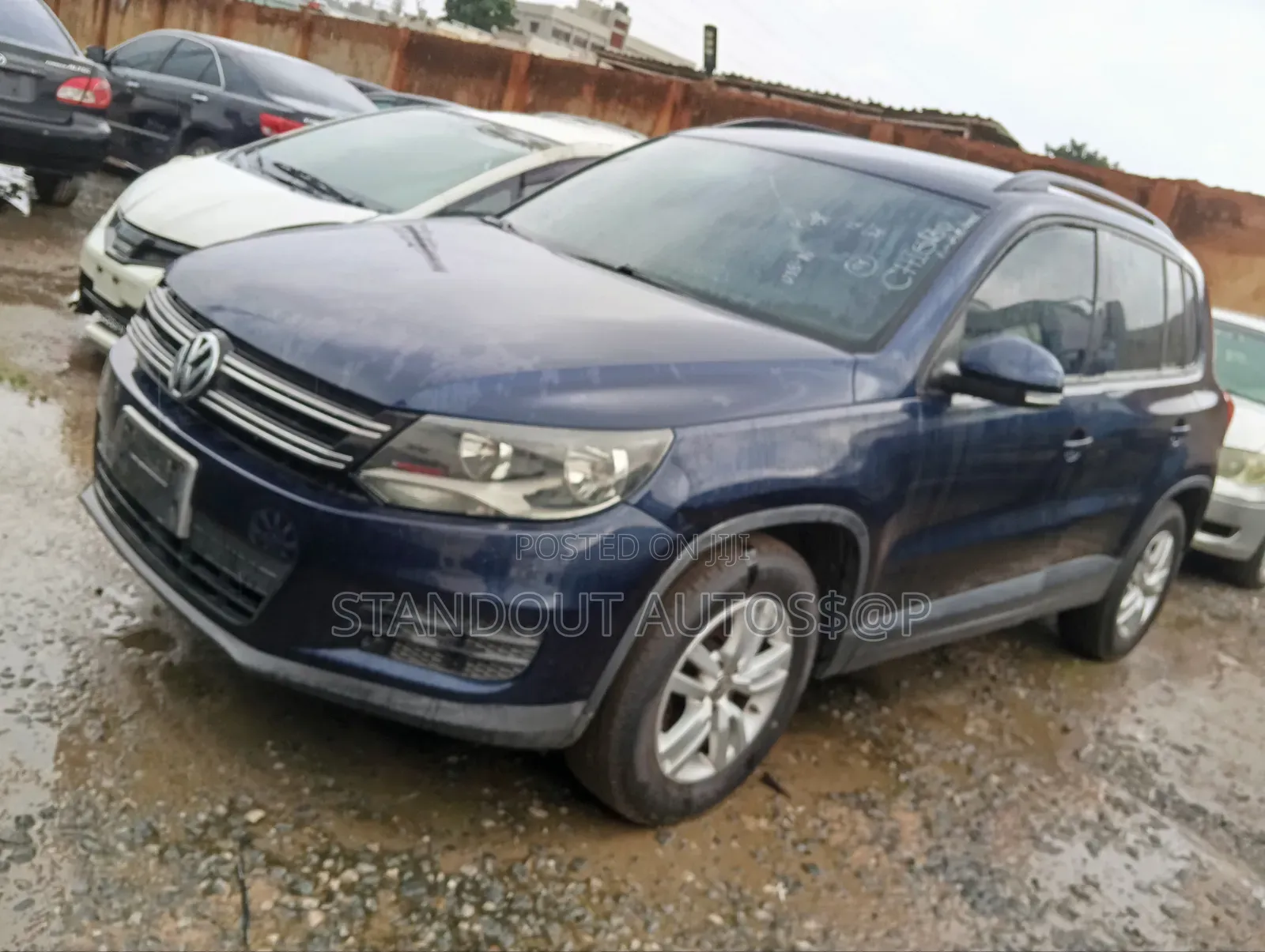 Volkswagen Tiguan 2012 Blue