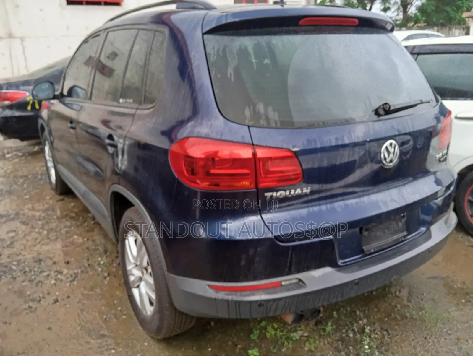 Volkswagen Tiguan 2012 Blue