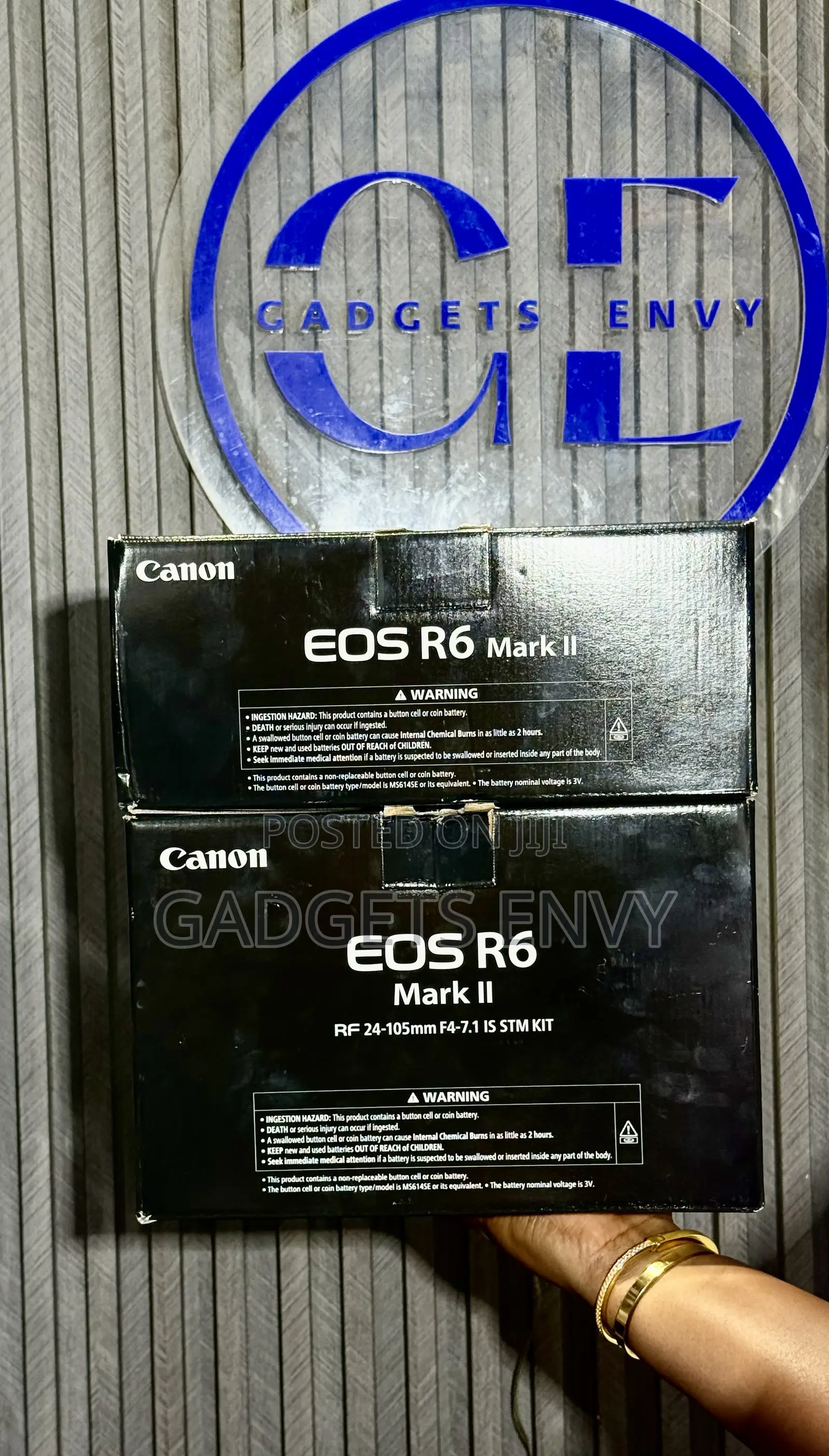 Canon Eos R6 Mark Ii Mirrorless Camera With 24-105mm Lens