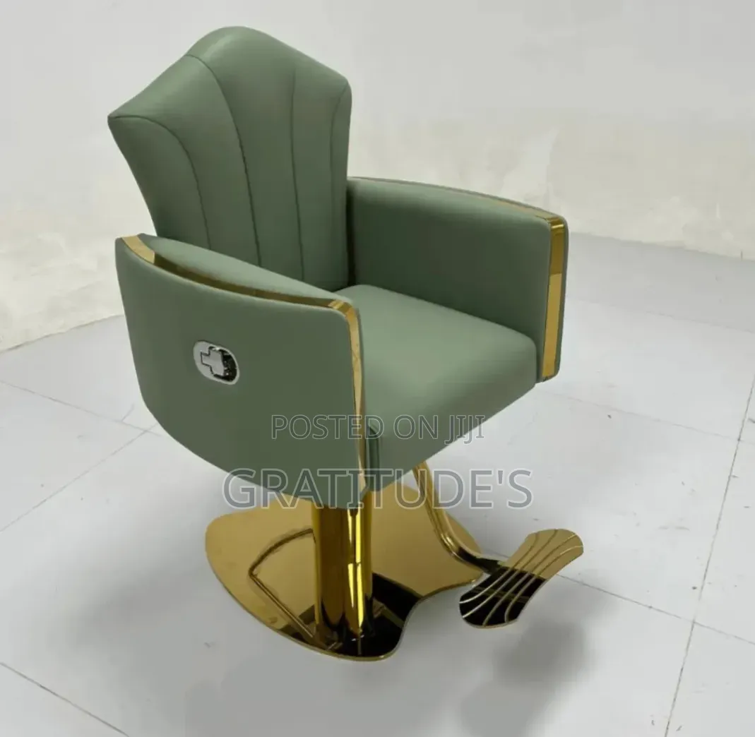 Luxury Saloon Chairs