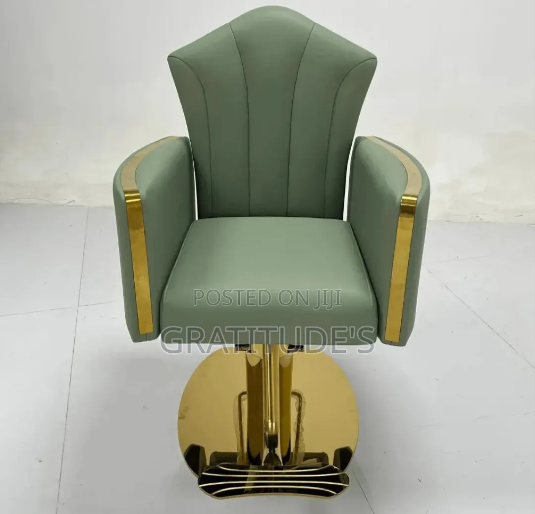 Luxury Saloon Chairs