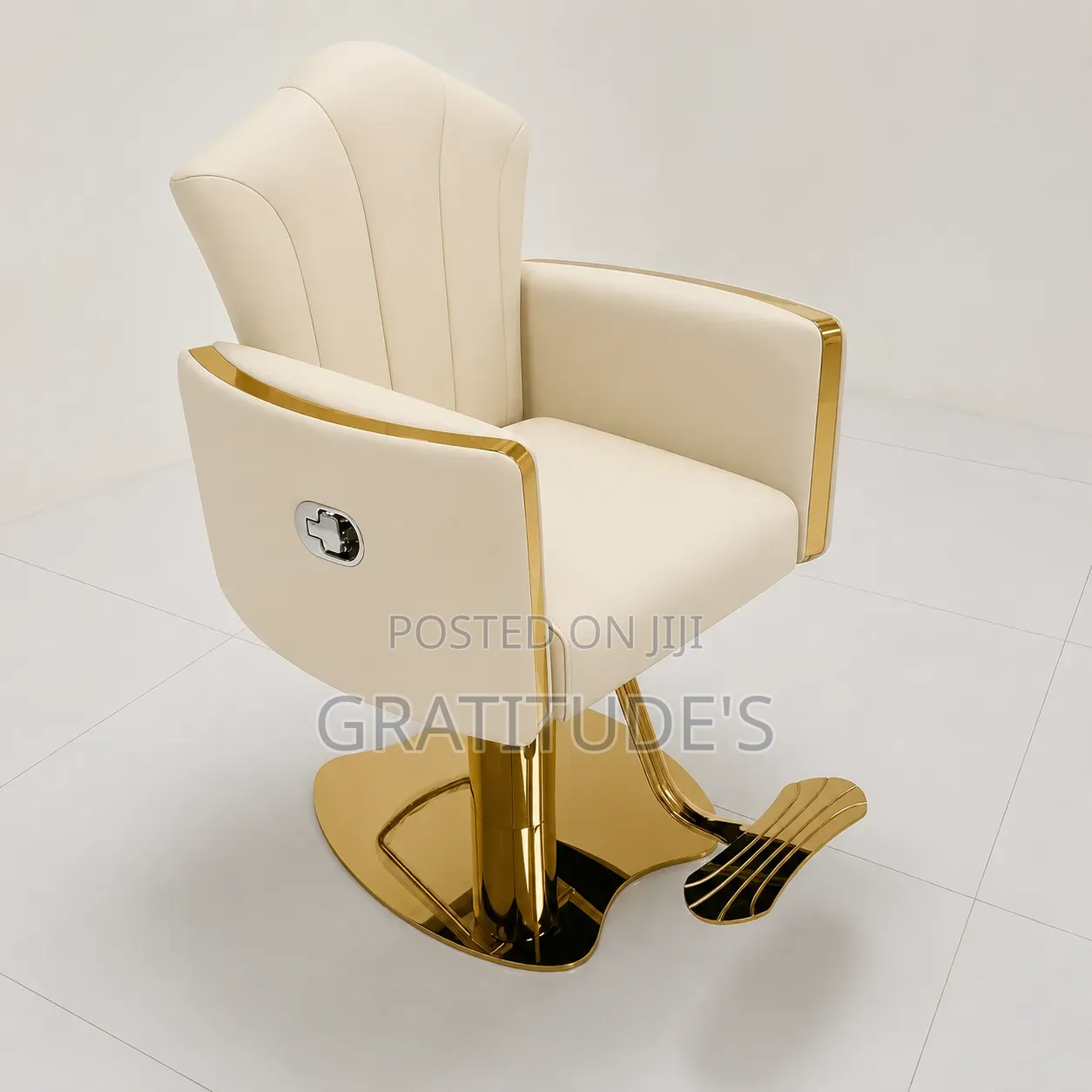 Luxury Saloon Chairs