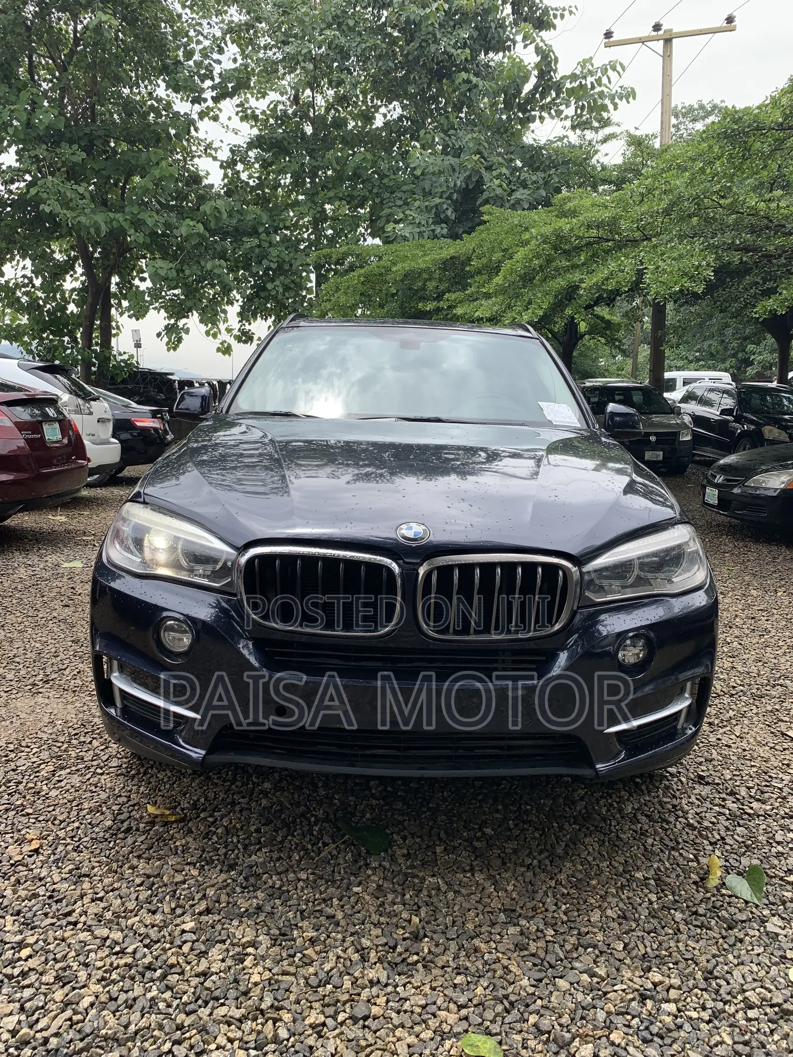 BMW X5 sDrive35i 4dr SUV (3.0L 6cyl Turbo 8A) 2014 Blue