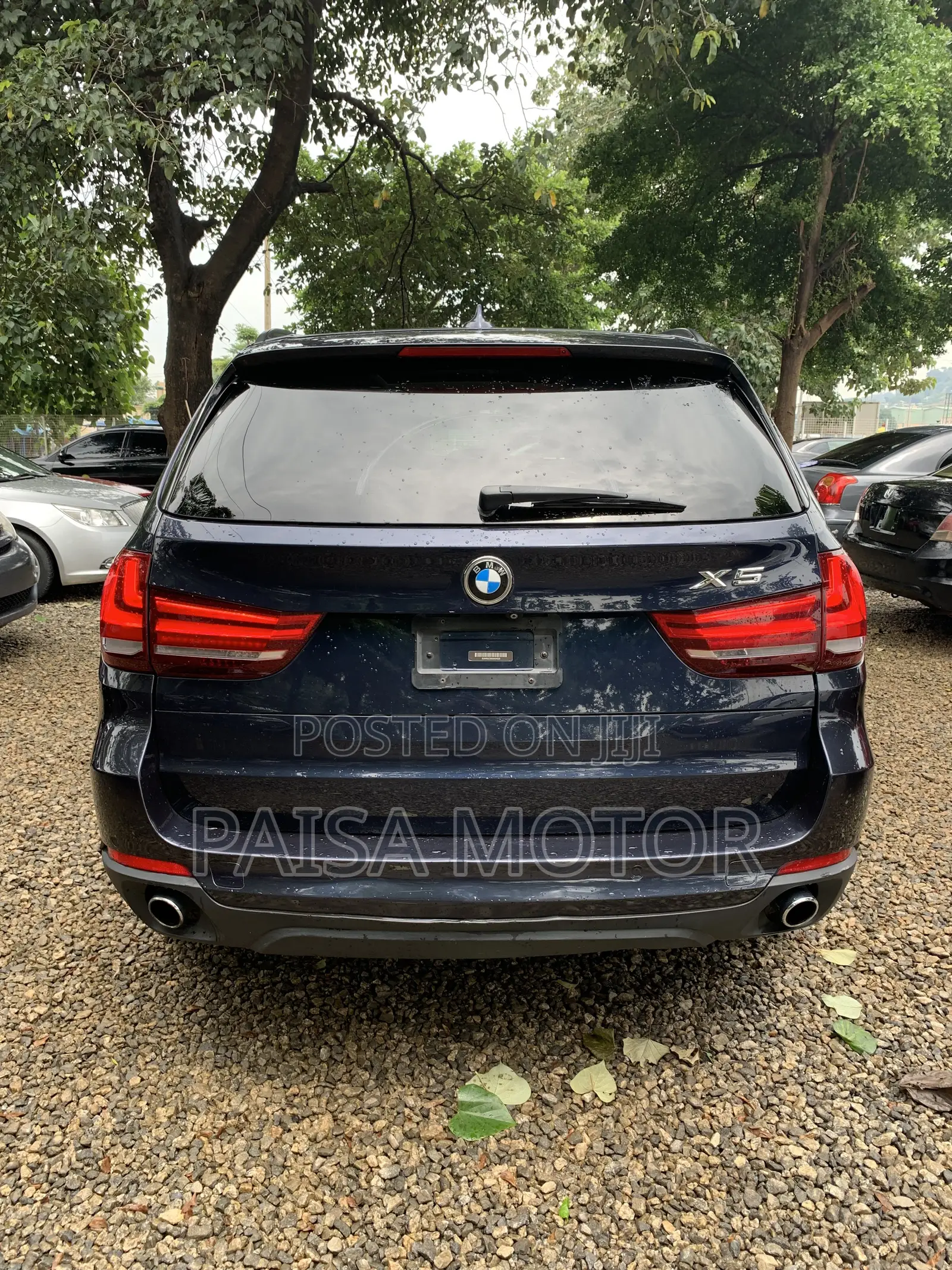 BMW X5 sDrive35i 4dr SUV (3.0L 6cyl Turbo 8A) 2014 Blue