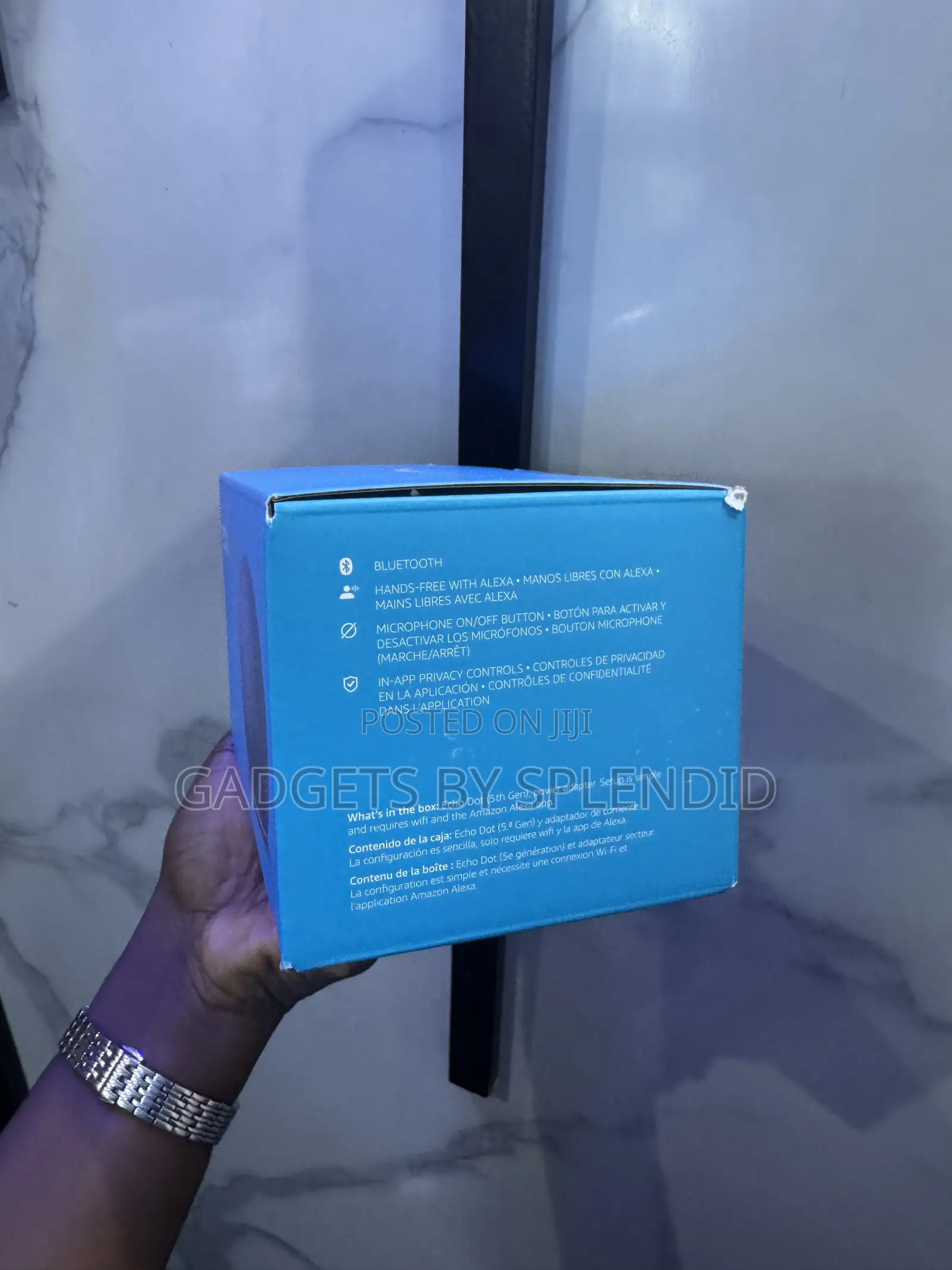 Alexa Echo Dot