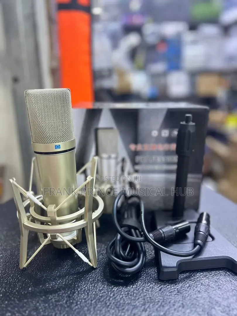 Takstar Studio Condenser Microphone Set (Gold)