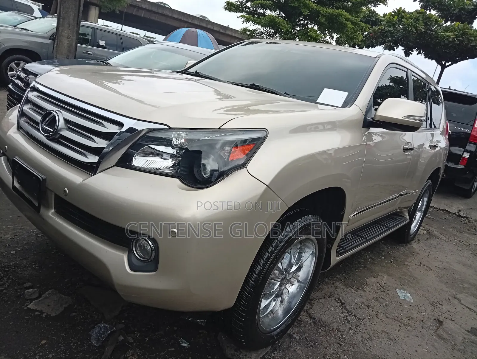 Lexus GX 2013 Gold