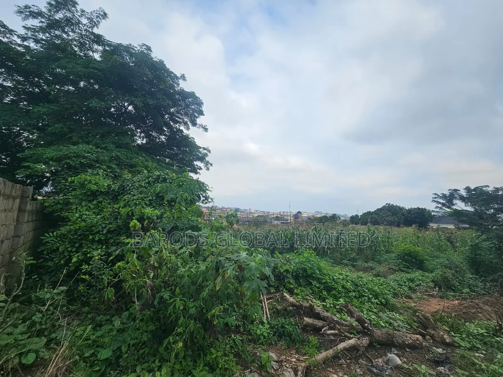 Land for Sale