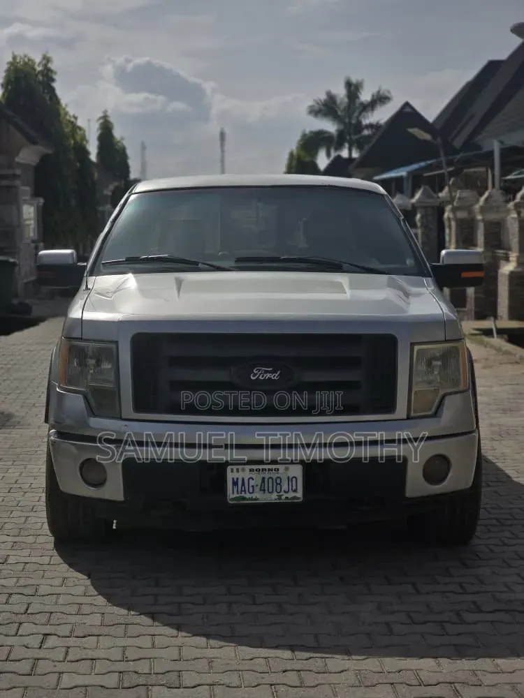Ford F-150 2015 Silver