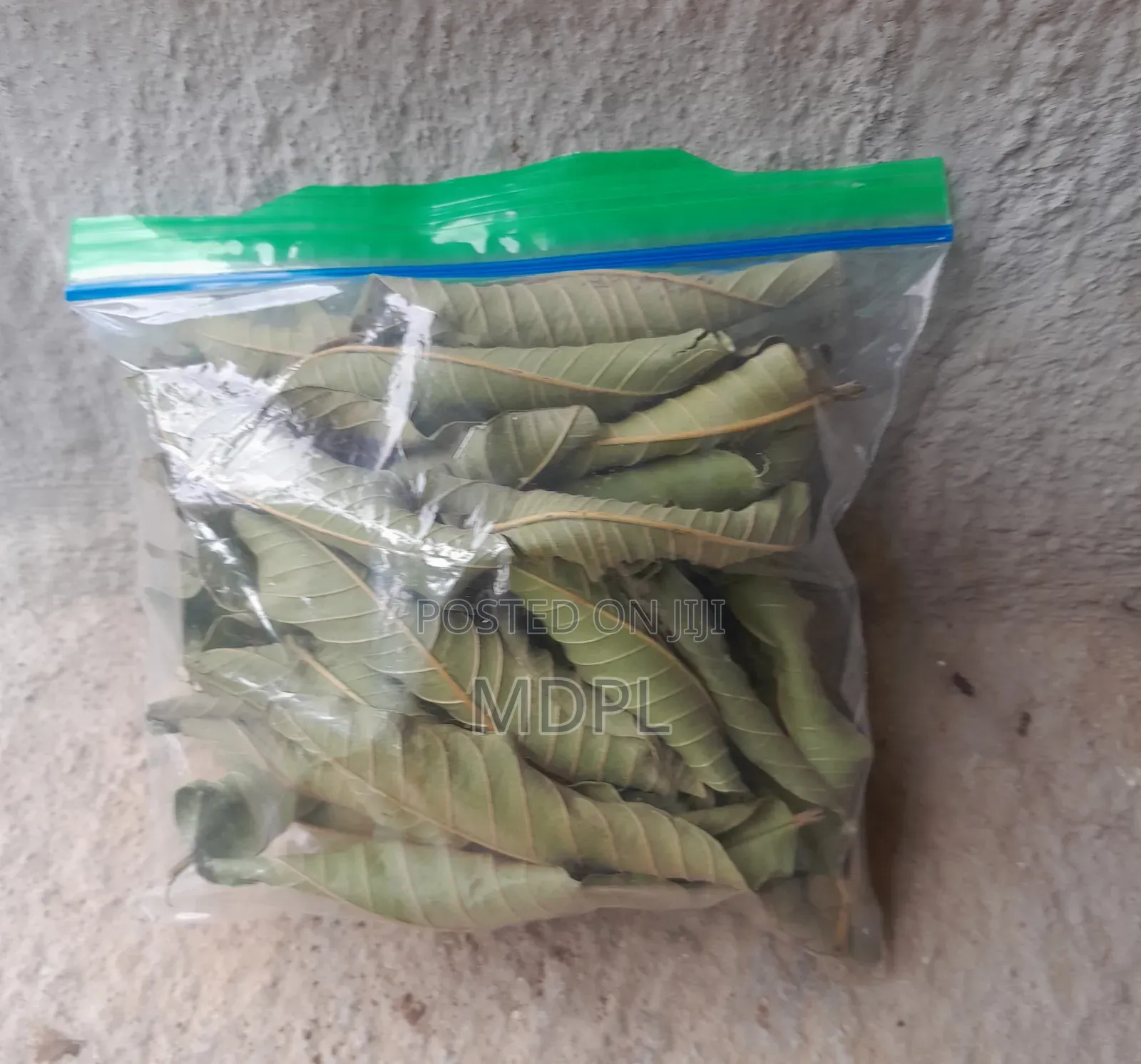Dried Guava Leaves