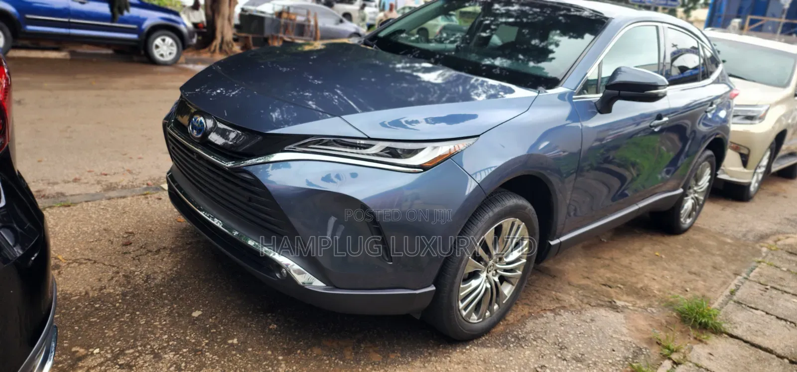 Toyota Venza 2025 Blue