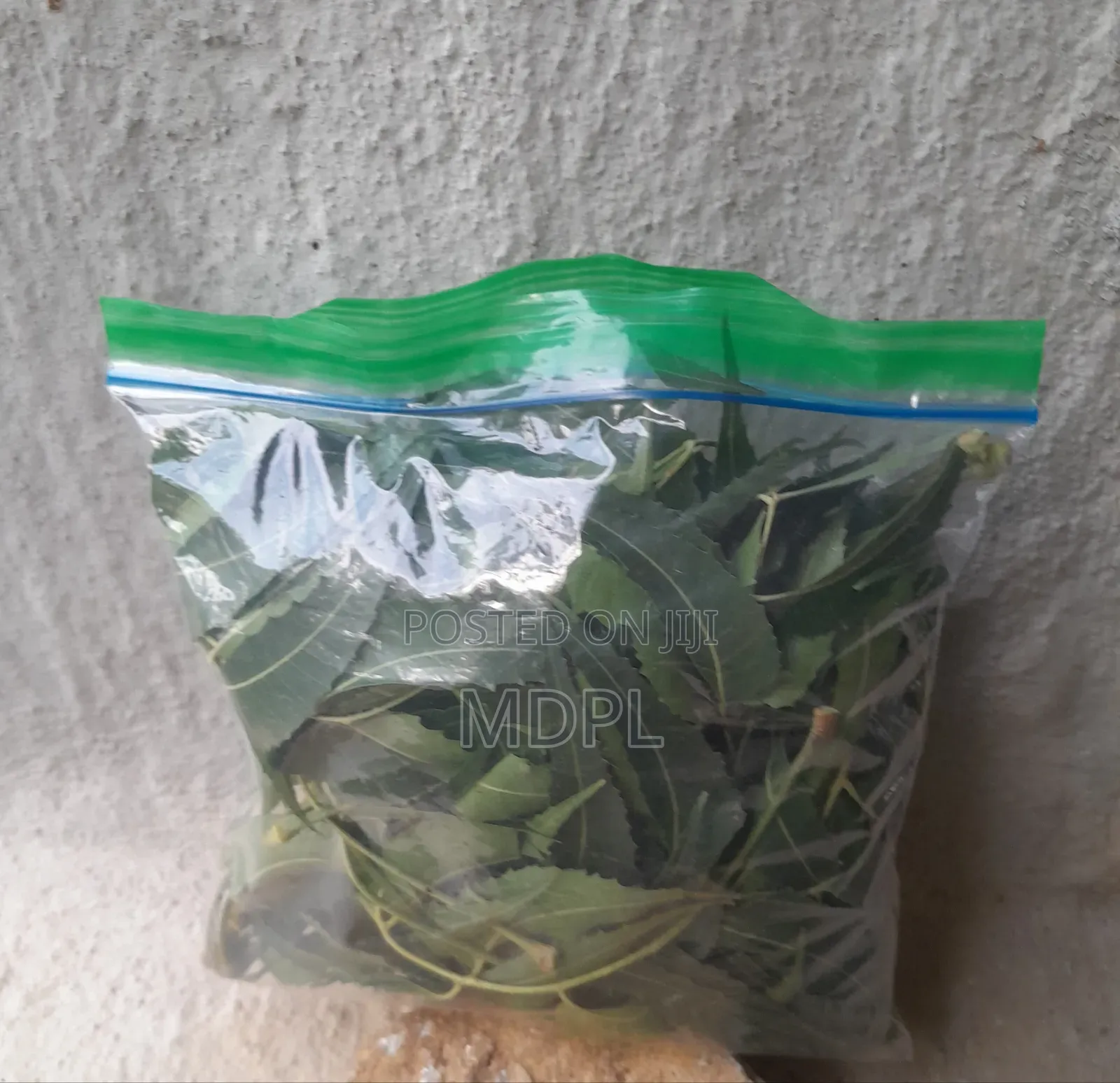Fresh Neem Leaves
