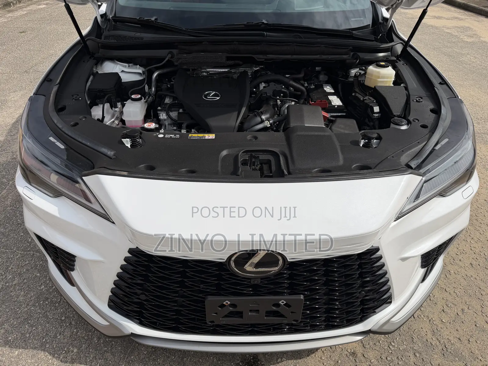 Lexus RX 350 F SPORT AWD 2024 White